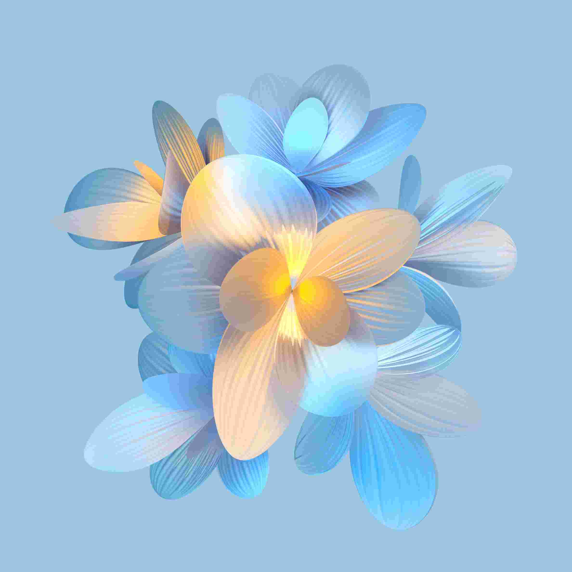 Honor Magic V2 High Resolution Official Wallpapers