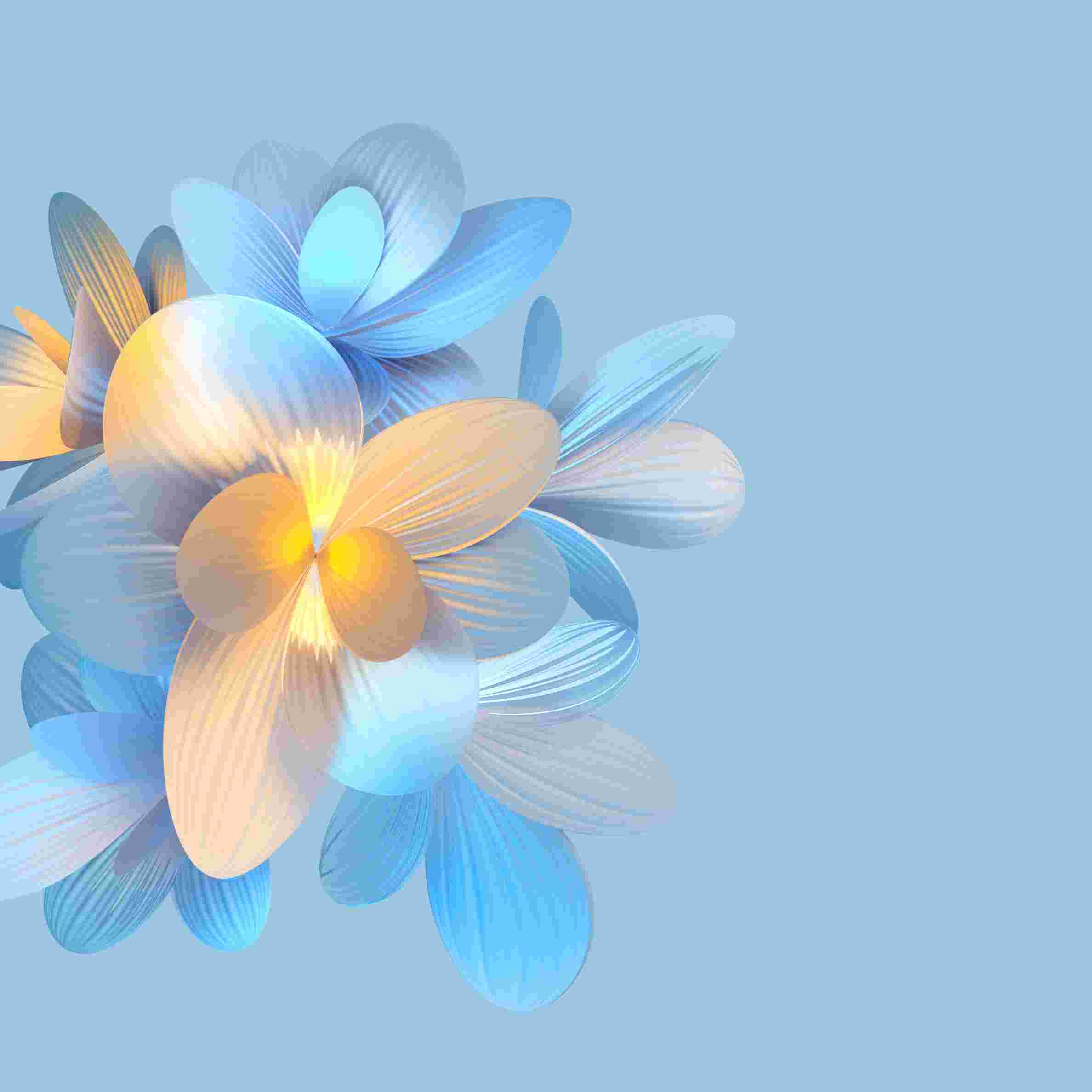 Honor Magic V2 High Resolution Official Wallpapers