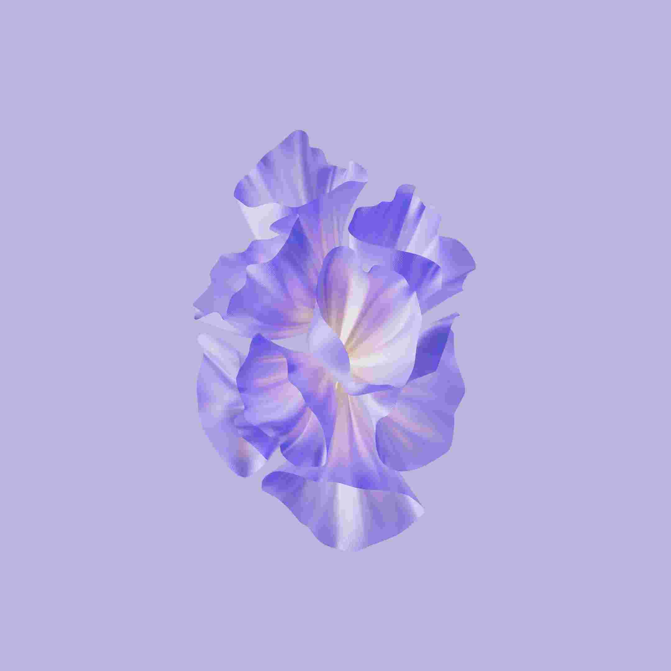 Honor Magic V2 High Resolution Official Wallpapers