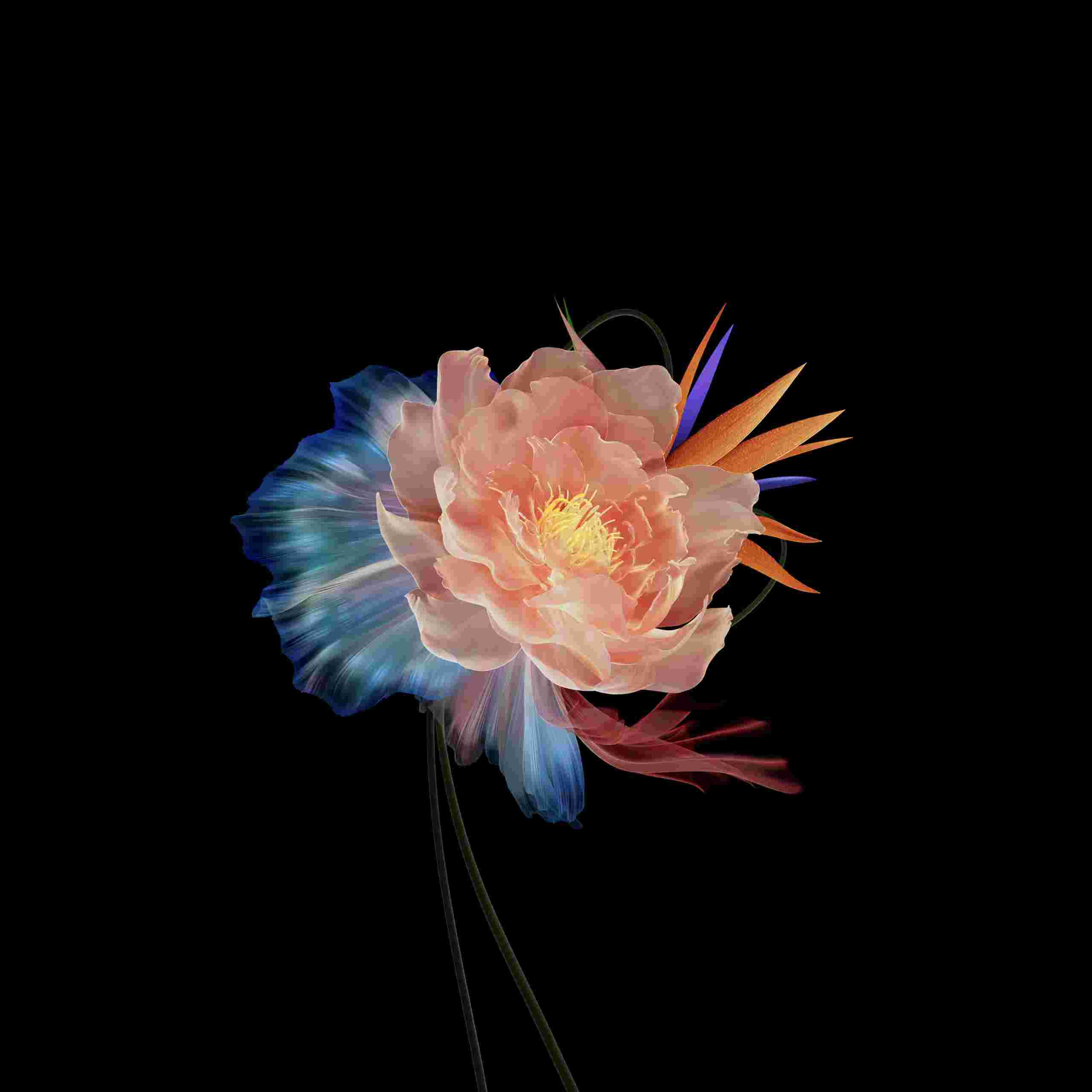 Honor Magic VS High Resolution Official Wallpapers