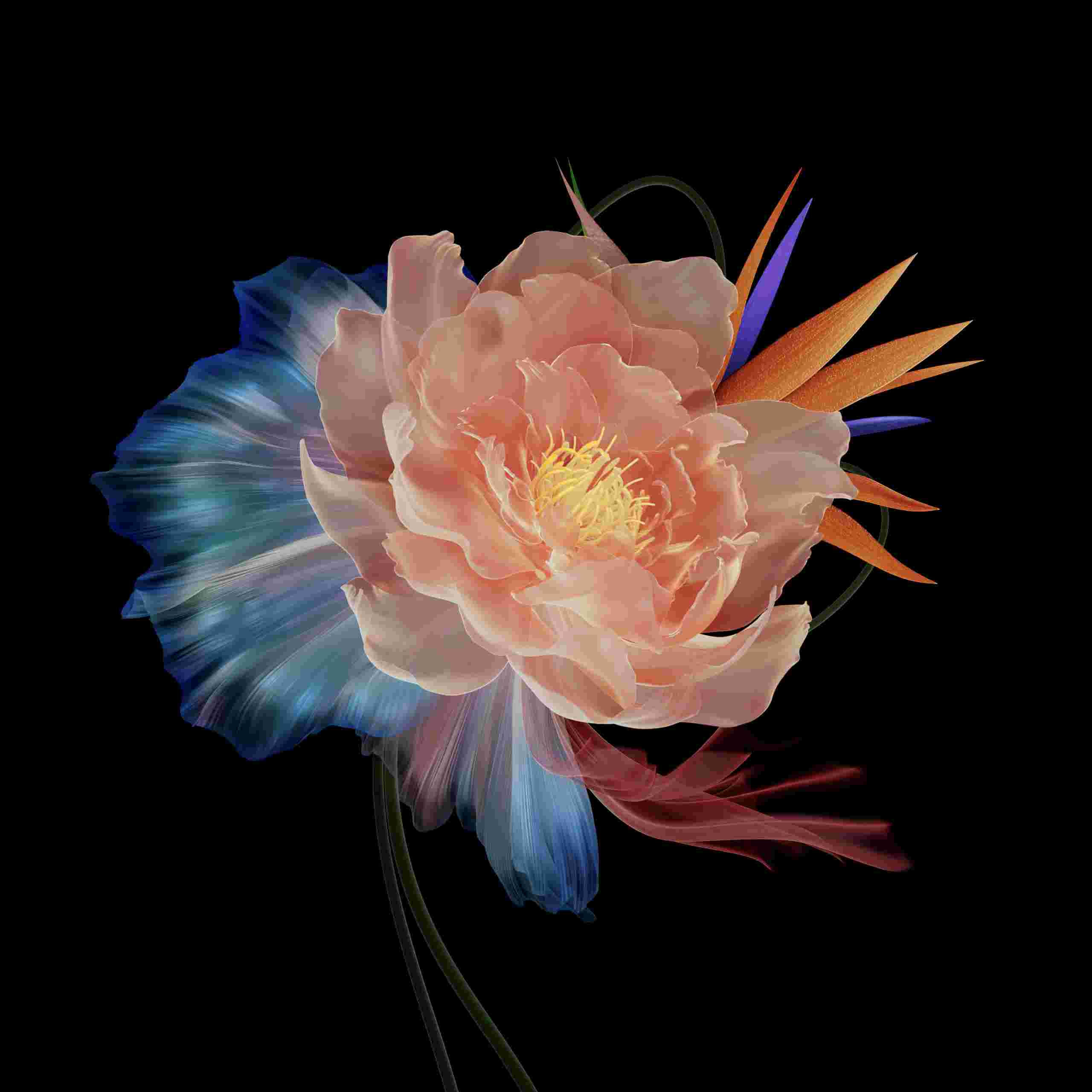 Honor Magic VS High Resolution Official Wallpapers