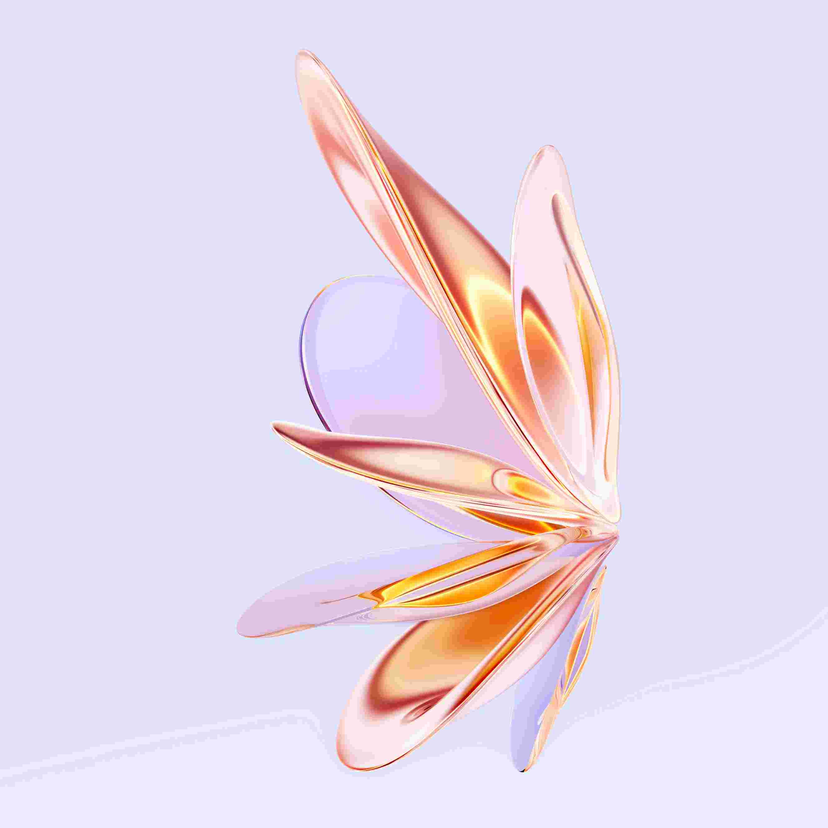 Honor X50 High Resolution Official Wallpapers