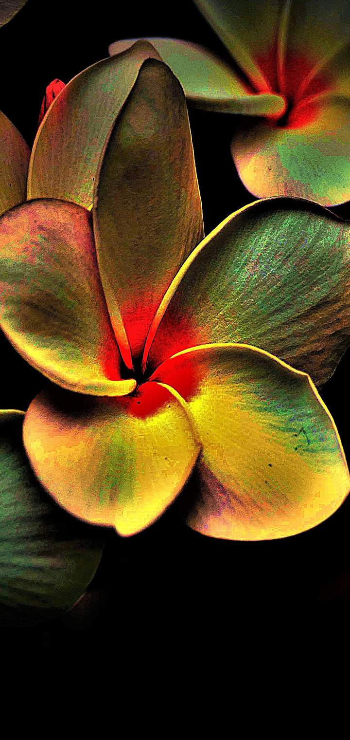  Lava Z6 Official stock Wallpapers in 4k resolution