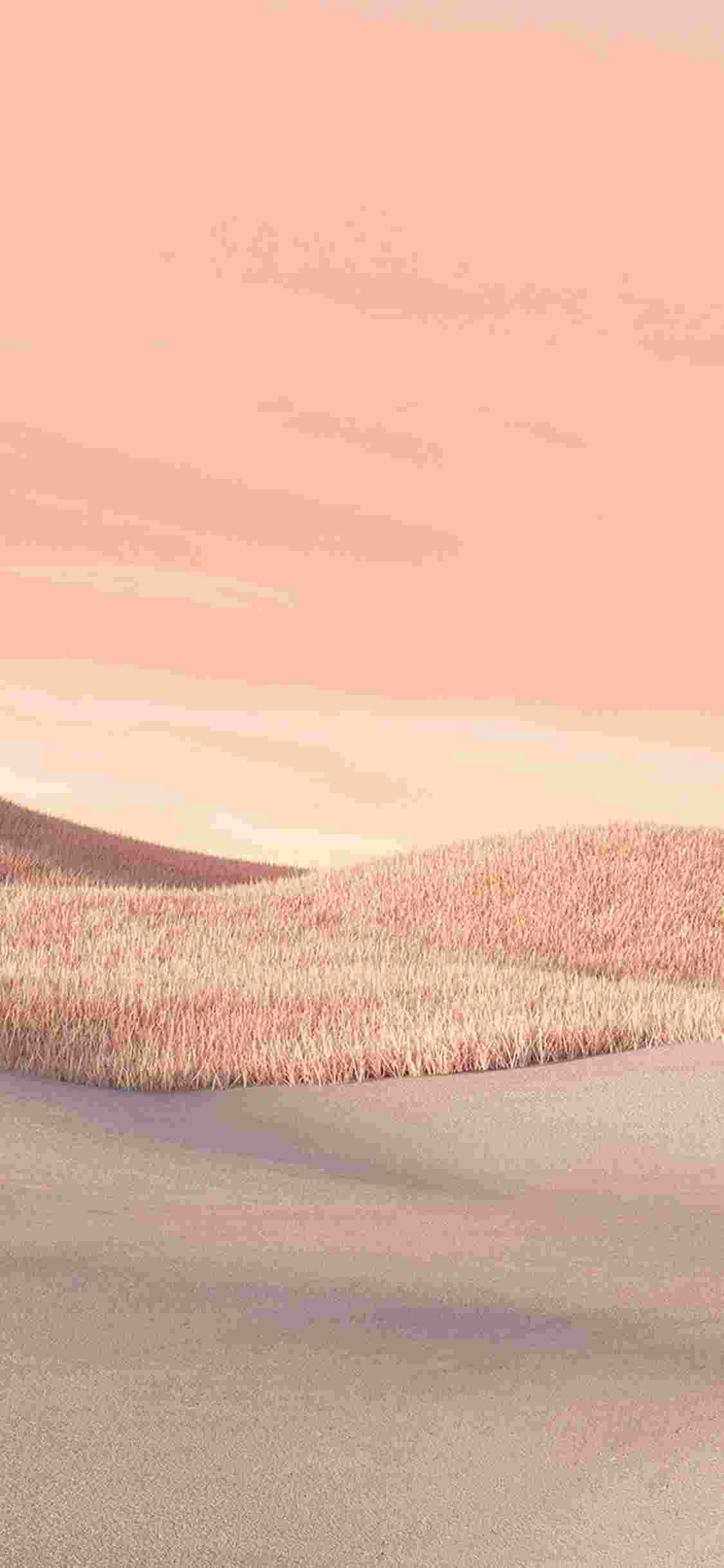  Microsoft Surface Laptop Go High Resolution Official Wallpapers