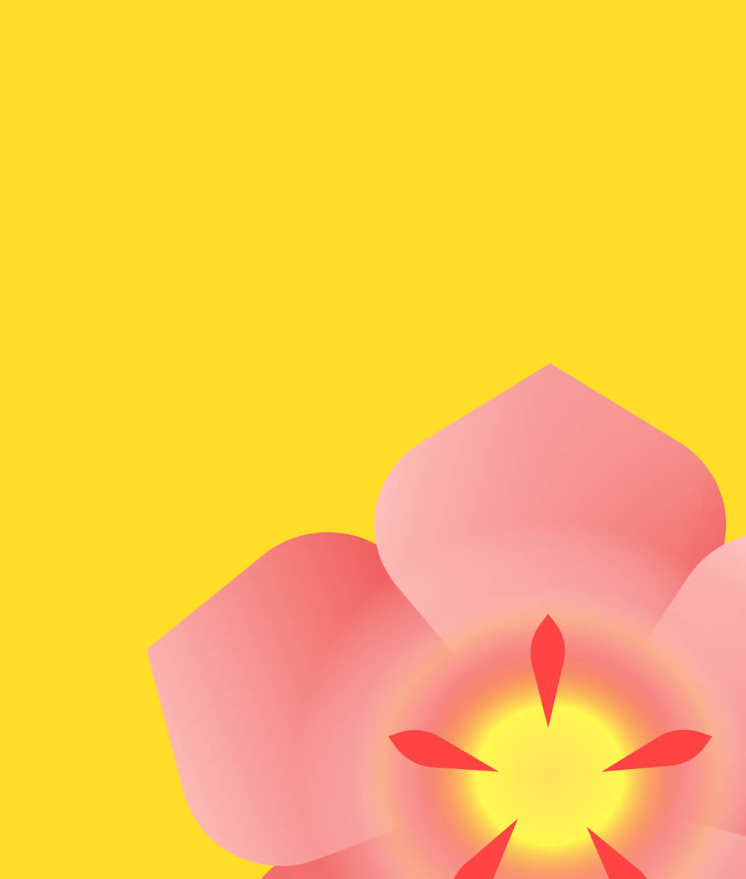  Moto Razr  2025 Official stock Wallpapers in 4k resolution
