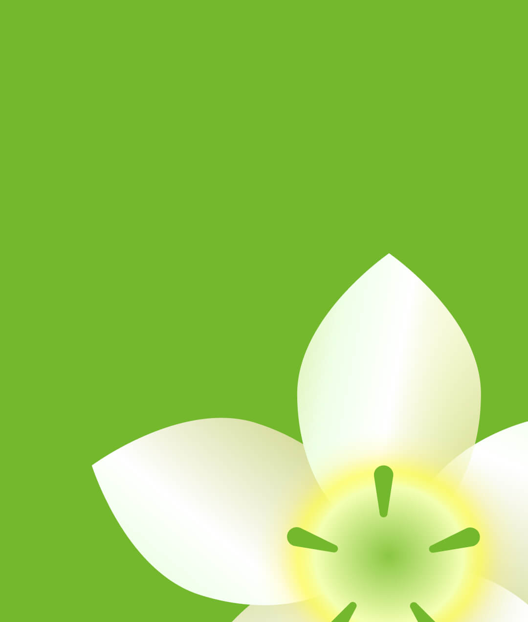  Moto Razr  2025 Official stock Wallpapers in 4k resolution