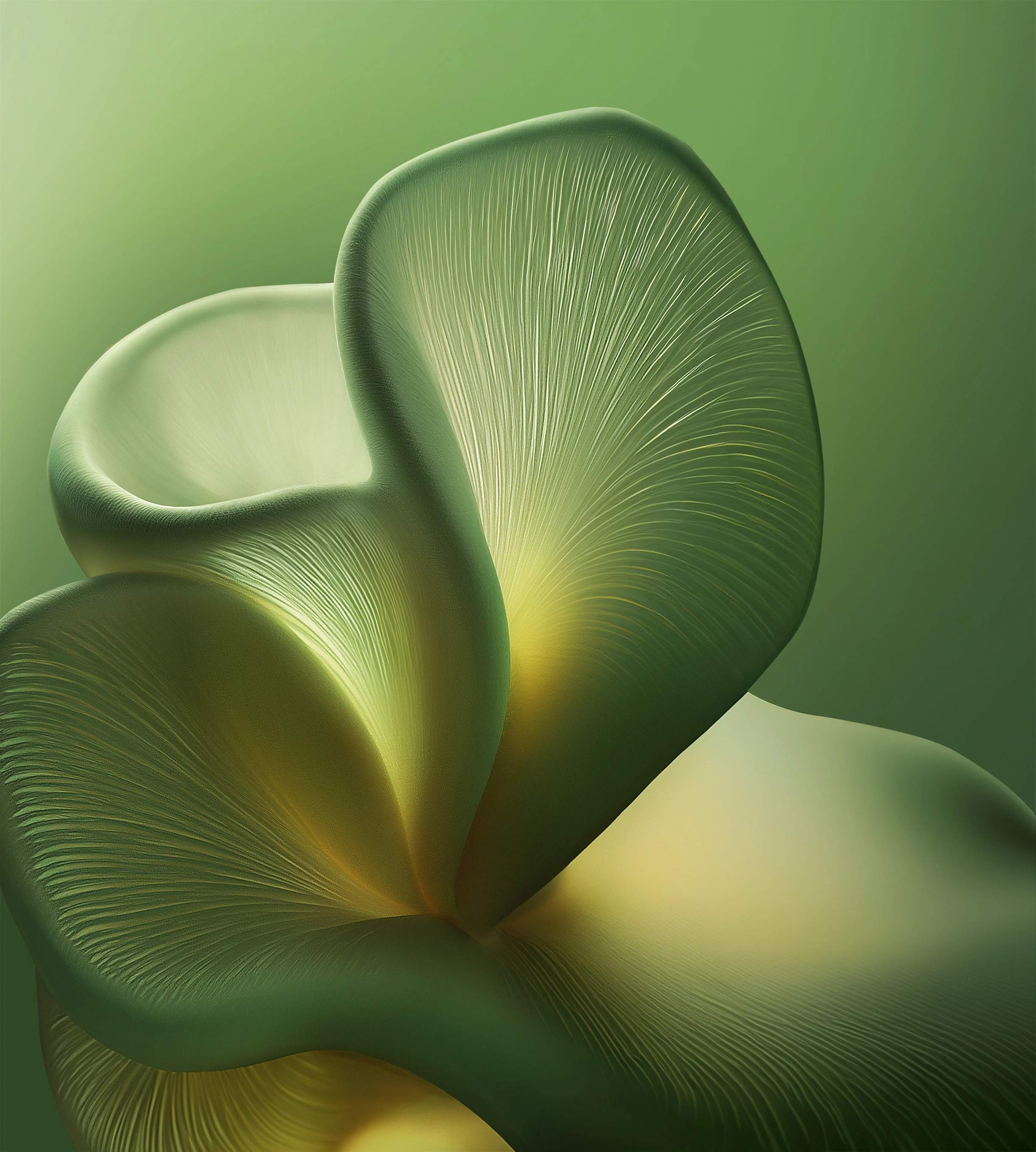 Moto Edge 60 & 60 Fusion Official stock Wallpapers in 4k resolution