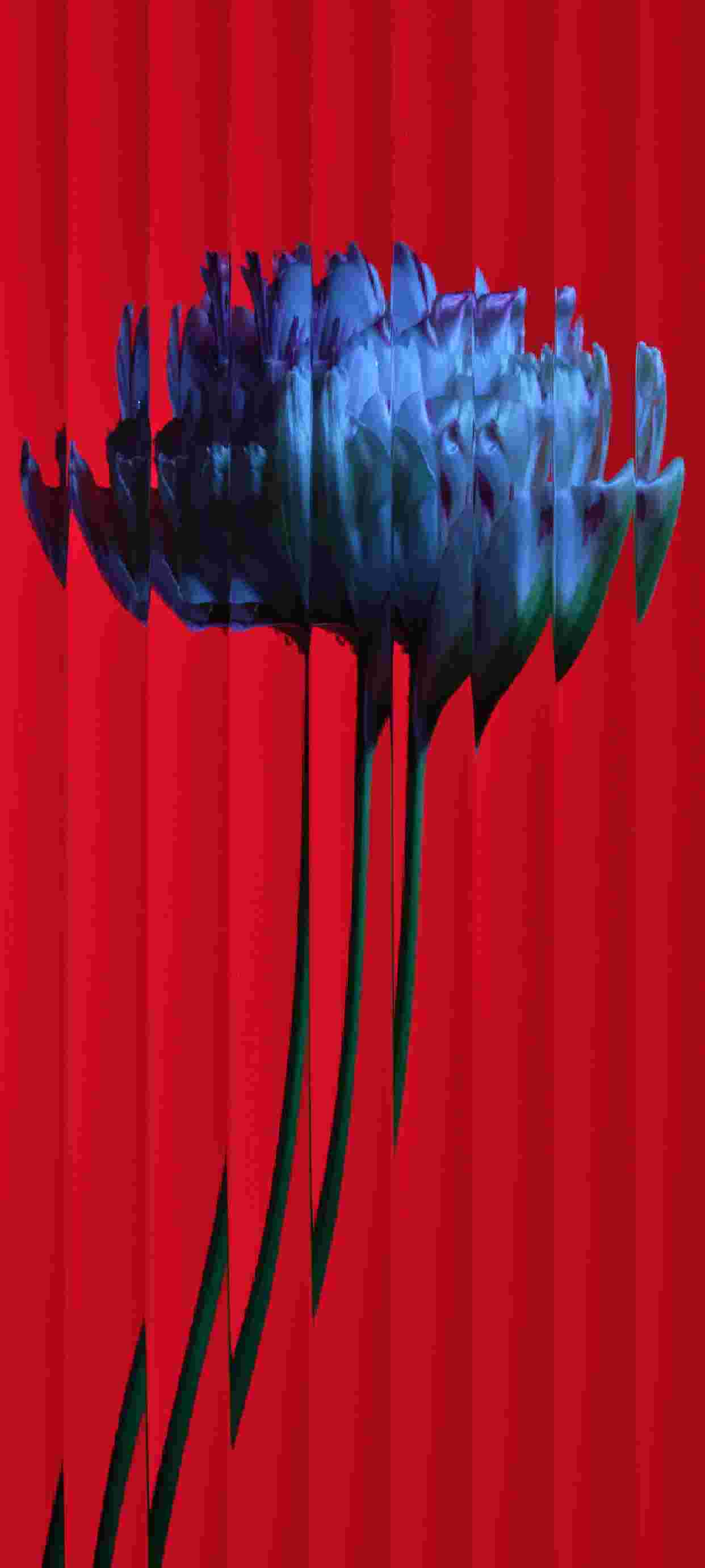 Nothing Phone 2 High Resolution Official Wallpapers