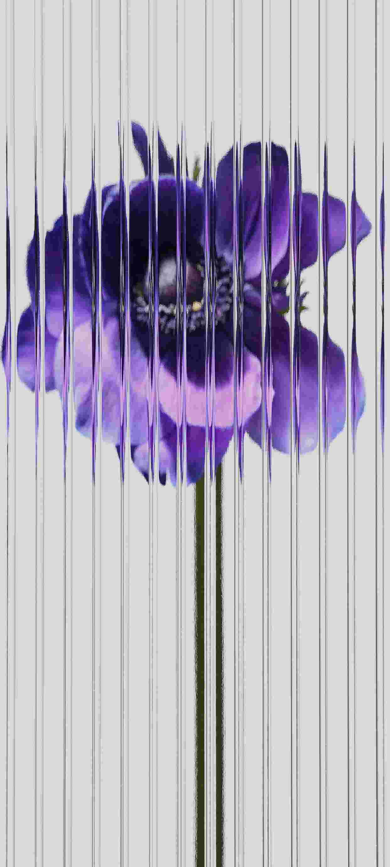 Nothing Phone 2 High Resolution Official Wallpapers