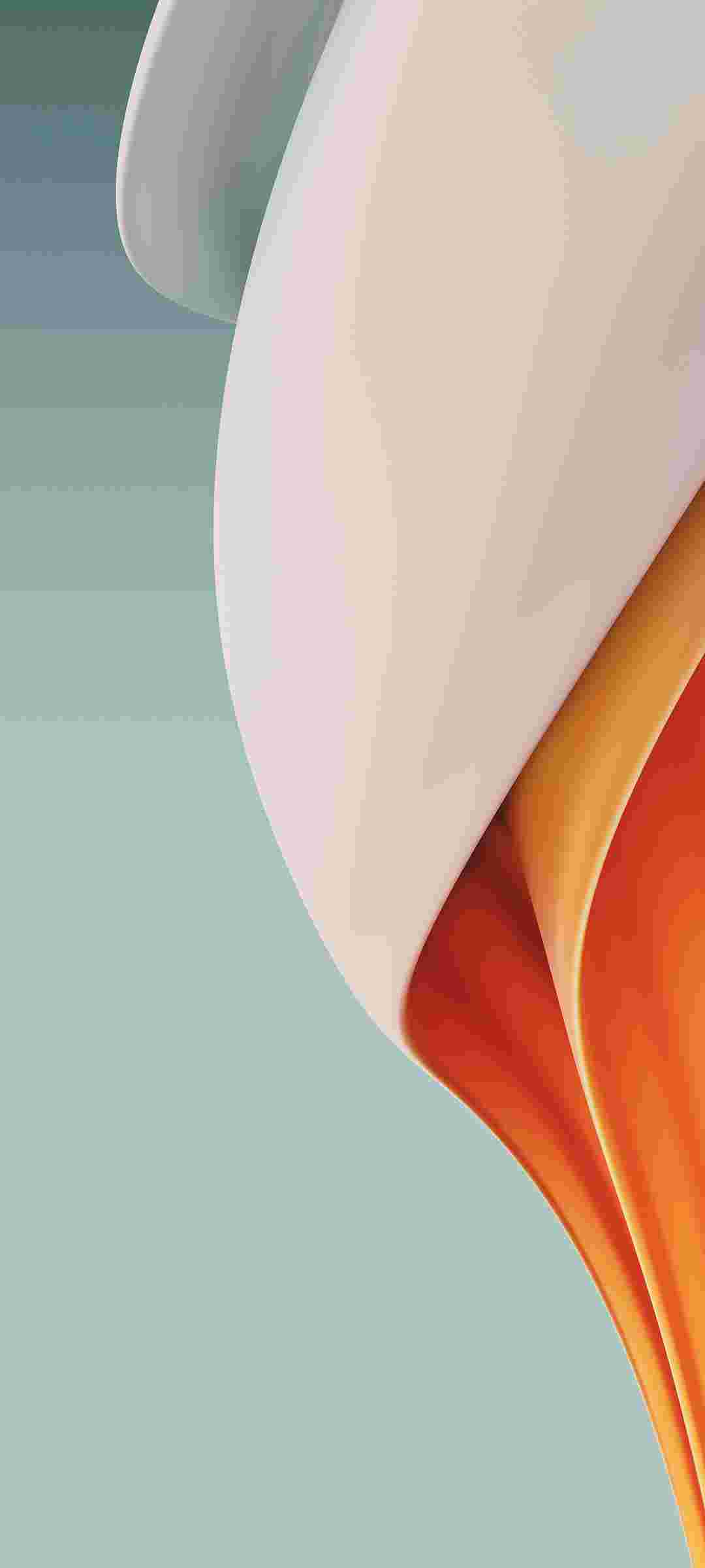   OnePlus Nord N100 High Resolution Offical Wallpapers