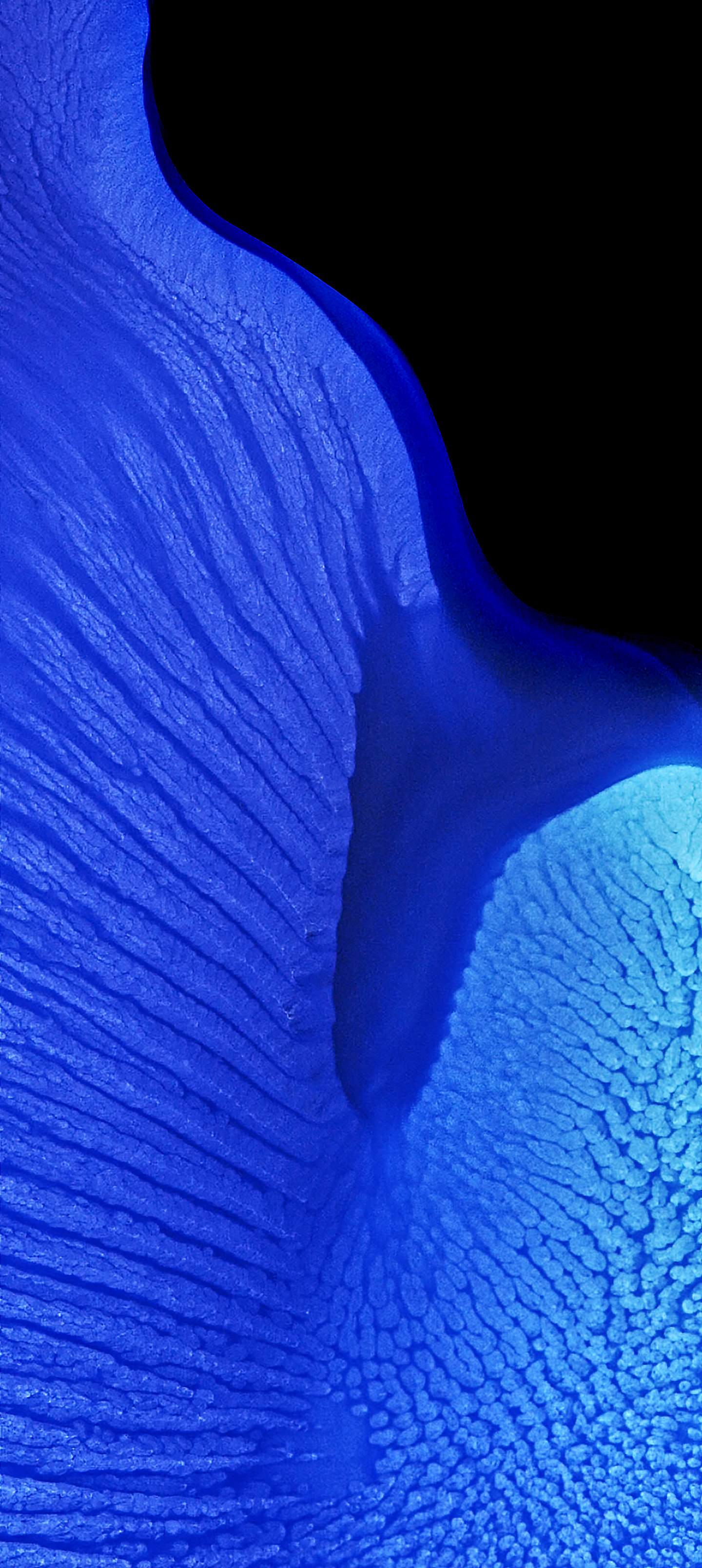ColorOS 12 High Resolution Official Wallpapers