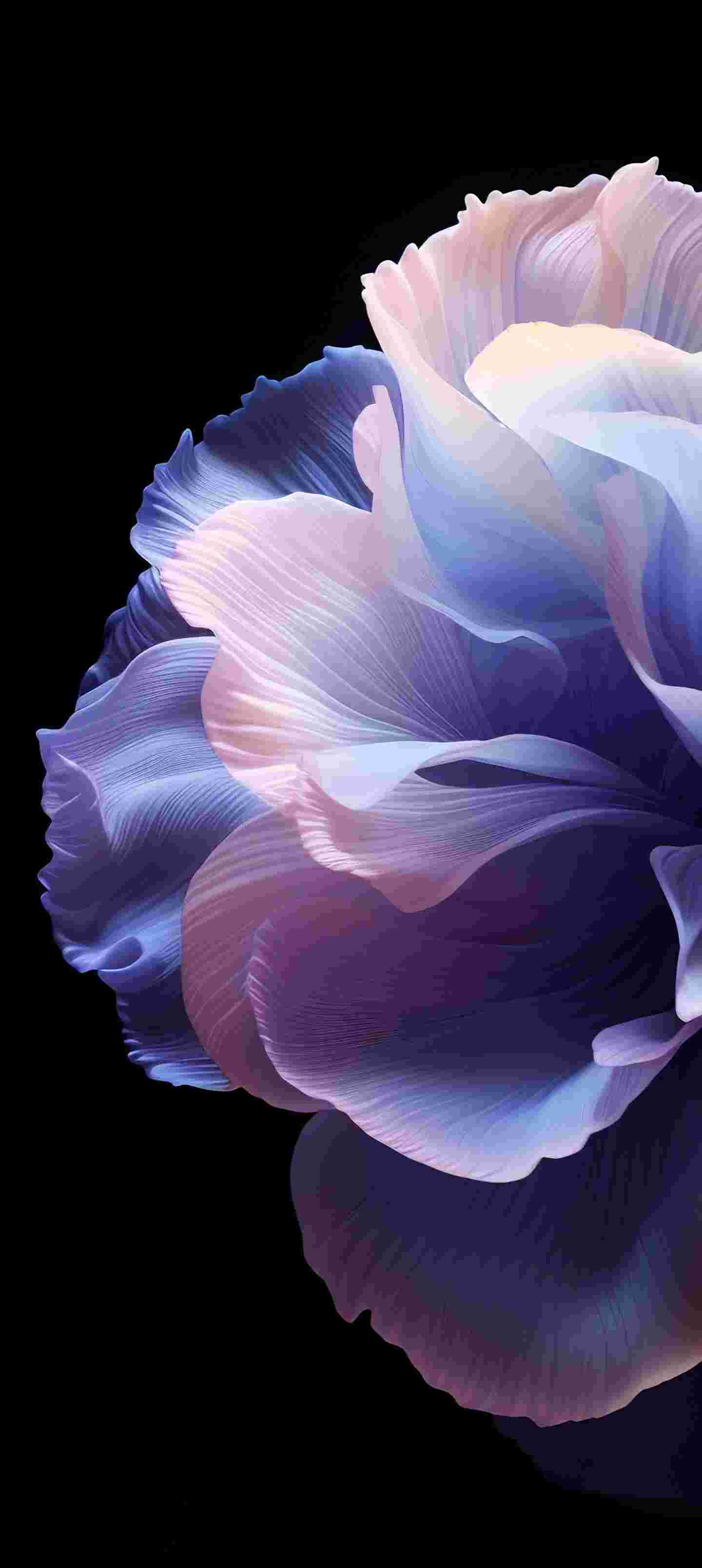 ColorOS 14 High Resolution Official Wallpapers