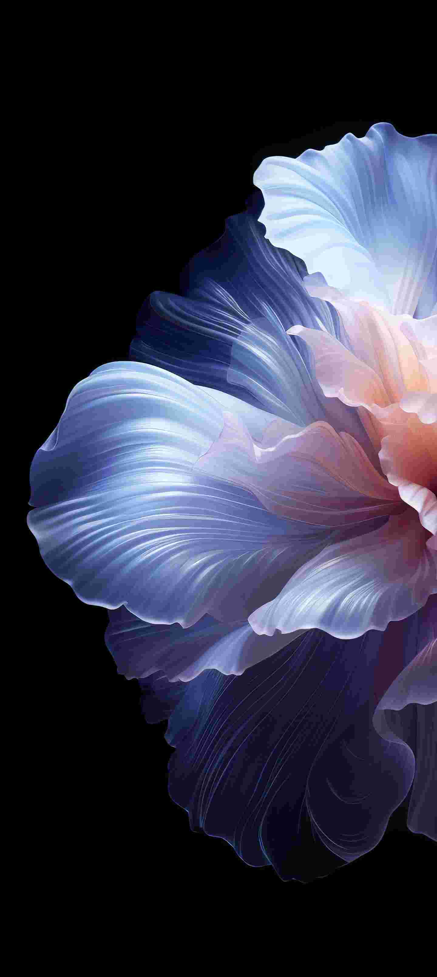 ColorOS 14 High Resolution Official Wallpapers
