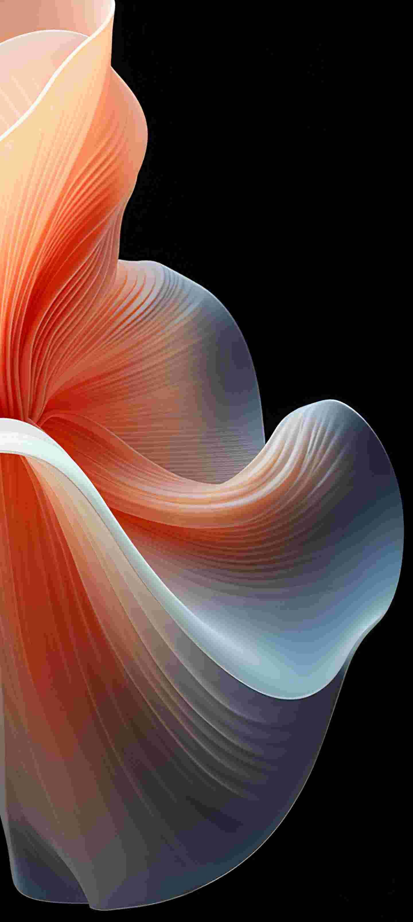 ColorOS 14 High Resolution Official Wallpapers