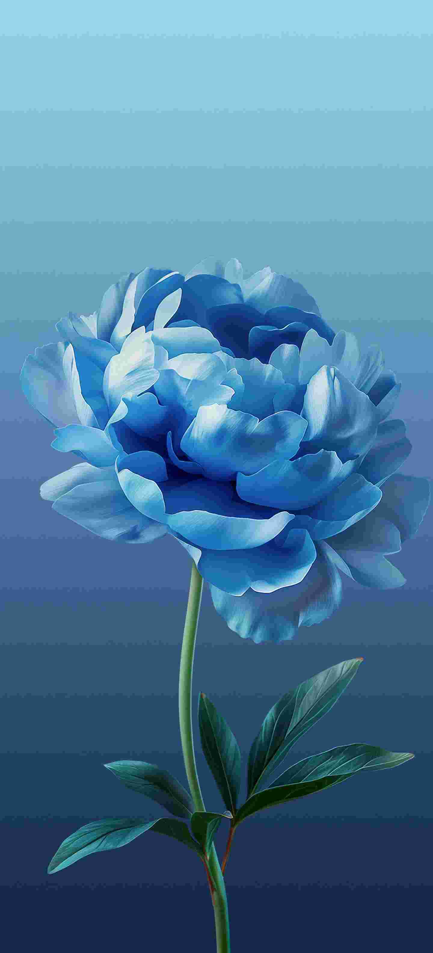 ColorOS 15 High Resolution Official Wallpapers