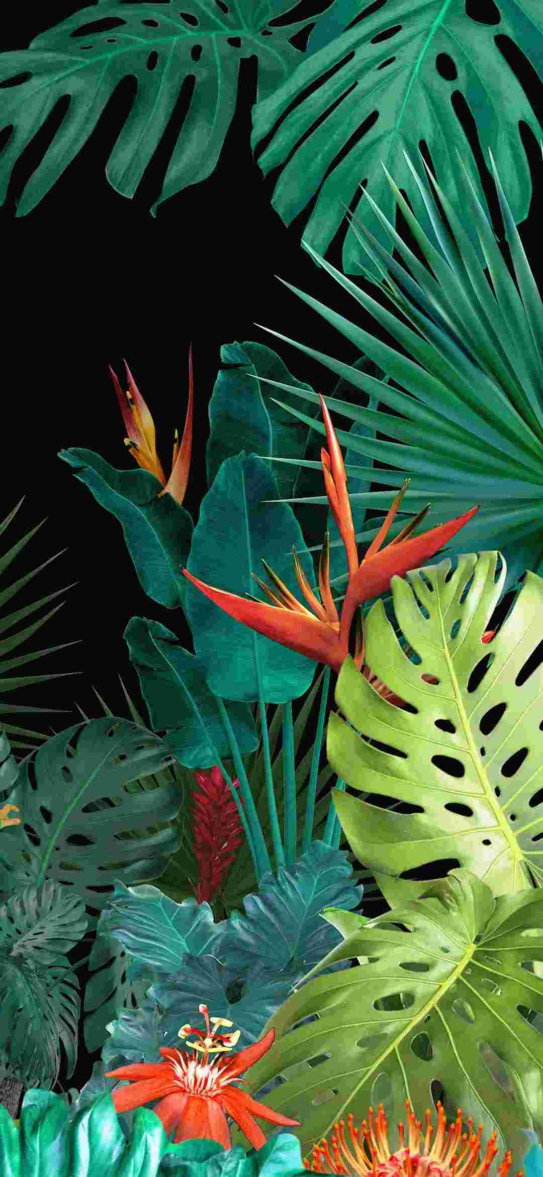 Oppo Art/Art Plus High Resolution Official Wallpapers