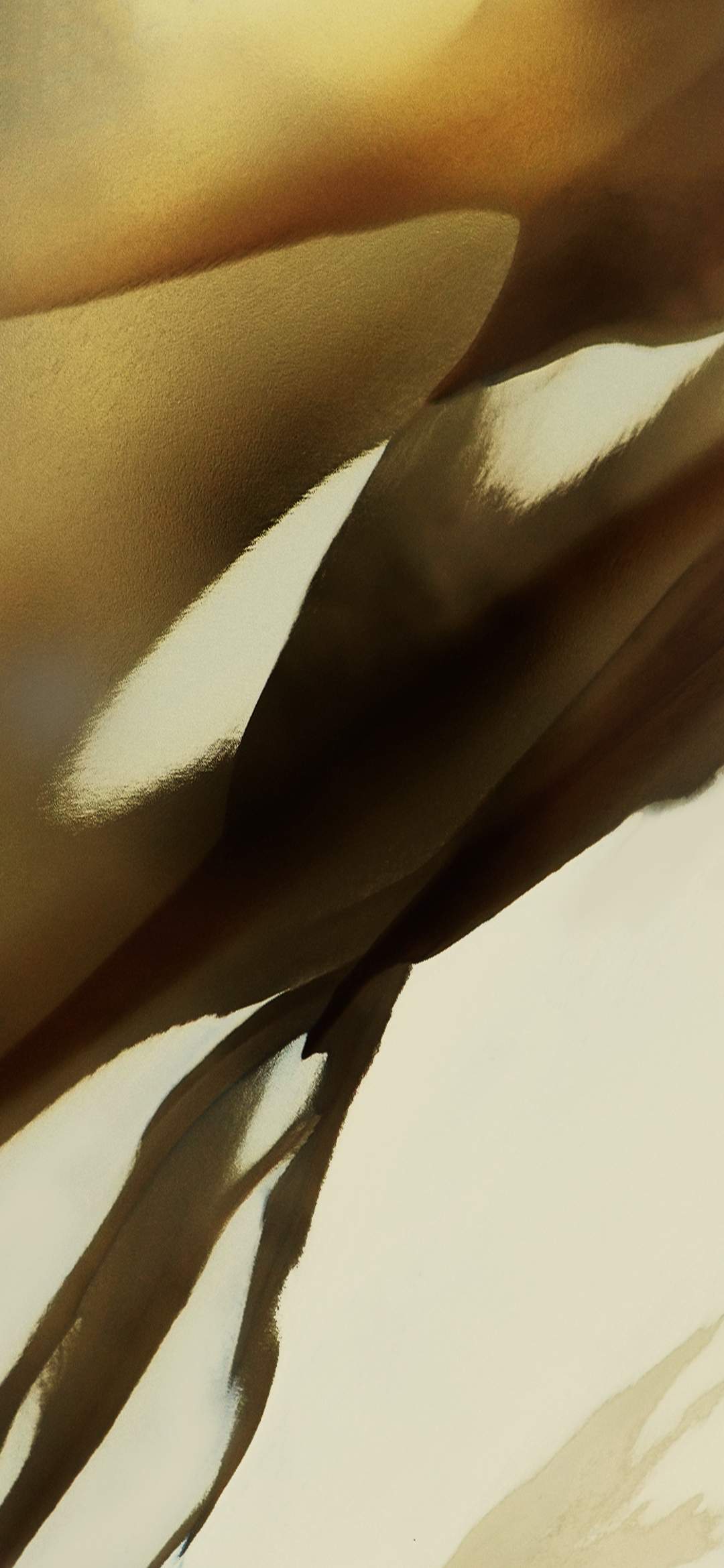Oppo Art/Art Plus High Resolution Official Wallpapers