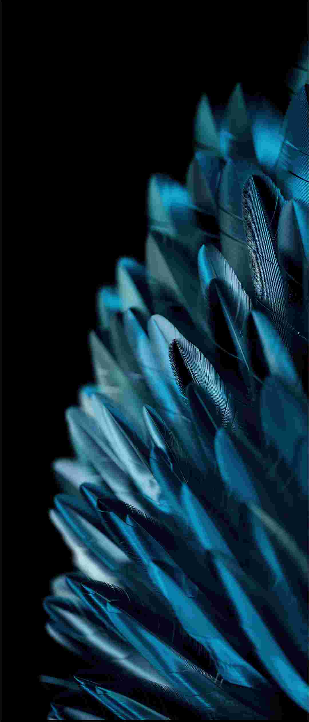 Oppo Find N2/N2 Flip High Resolution Official Wallpapers