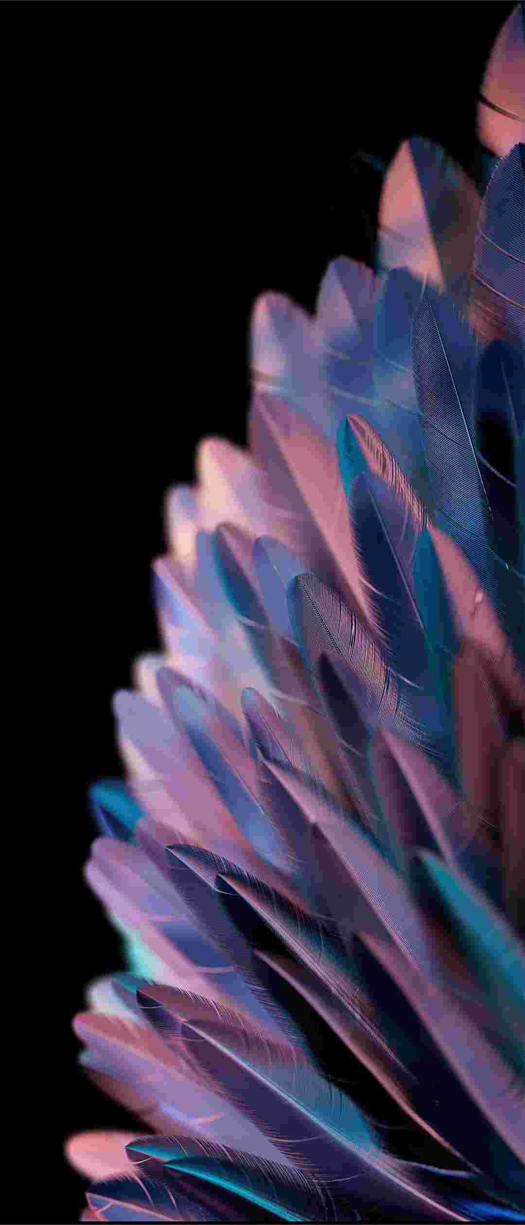 Oppo Find N2/N2 Flip High Resolution Official Wallpapers