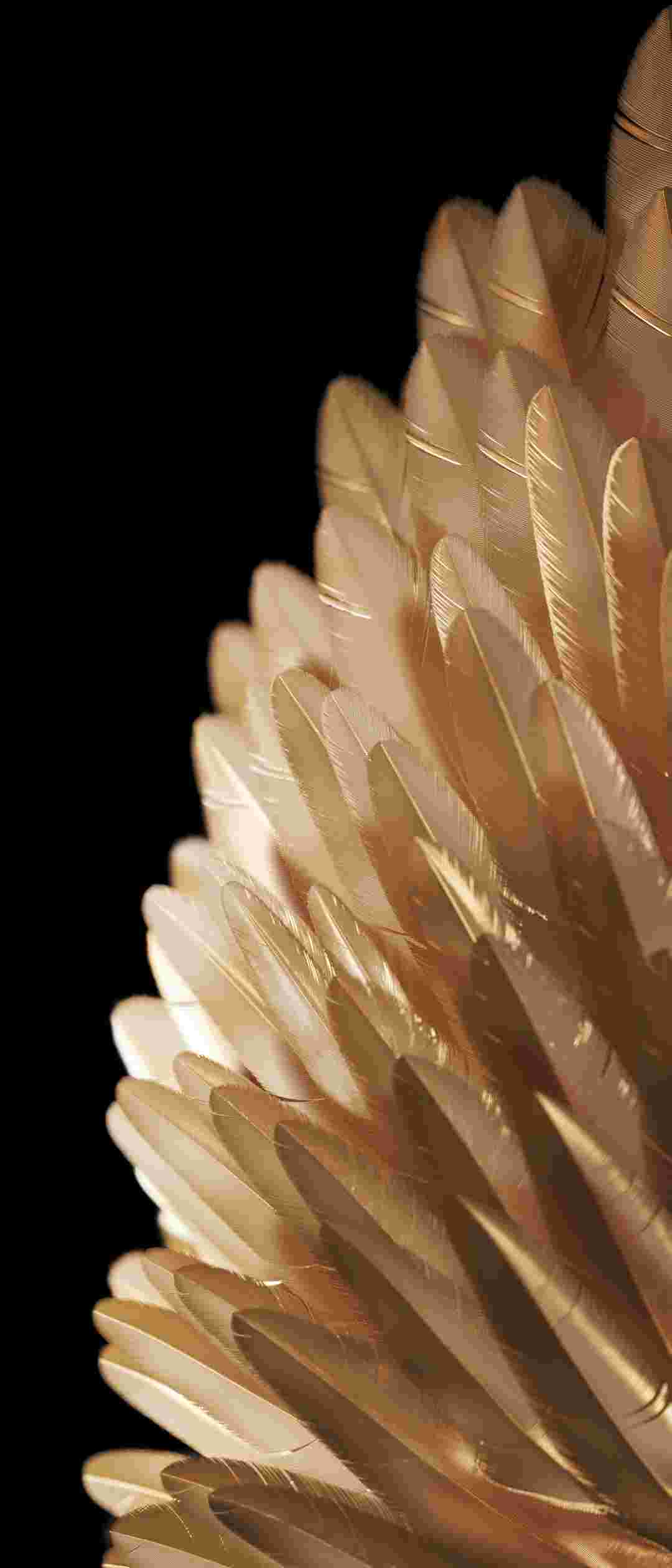 Oppo Find N2/N2 Flip High Resolution Official Wallpapers