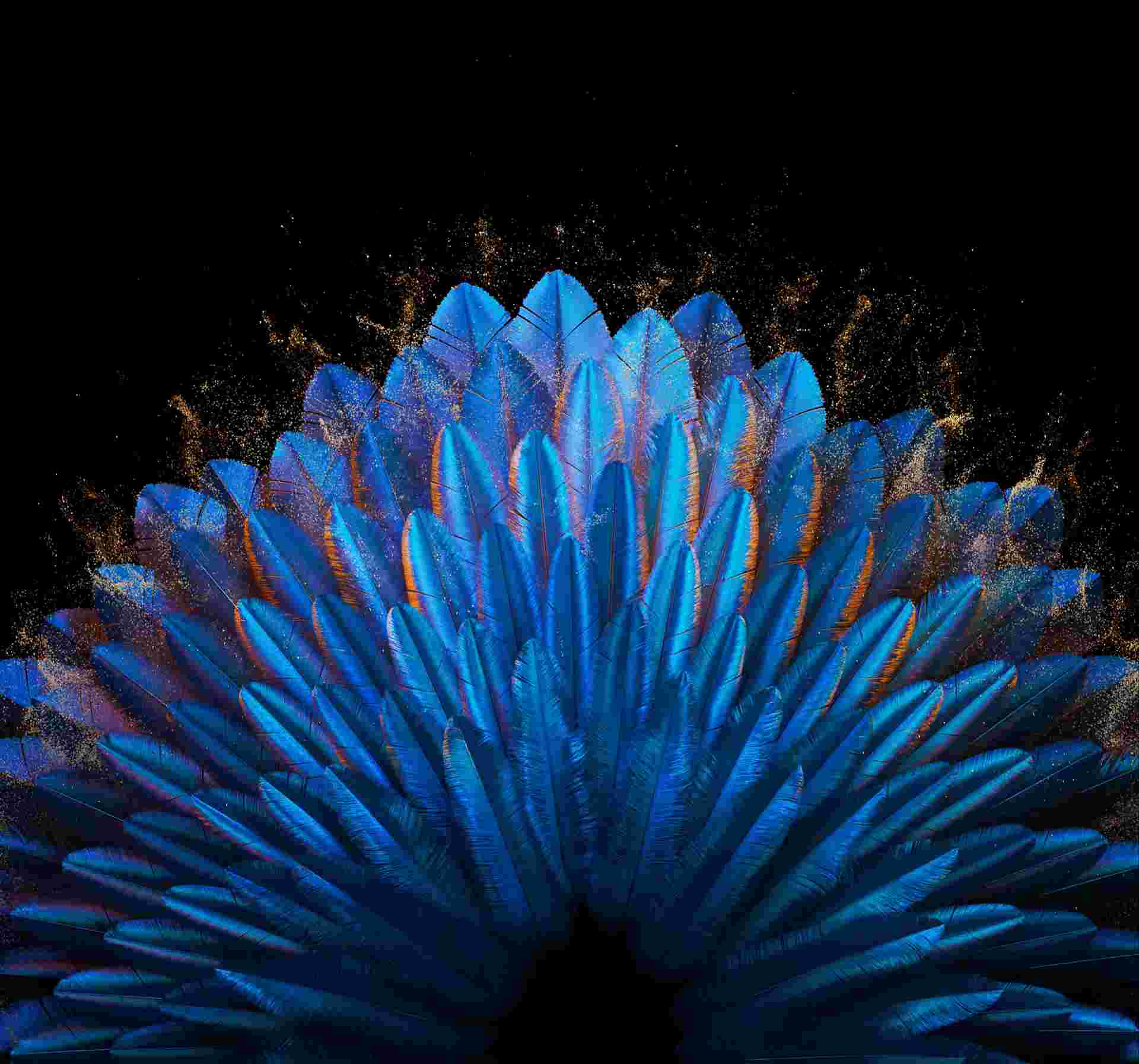 Oppo Find N2/N2 Flip High Resolution Official Wallpapers