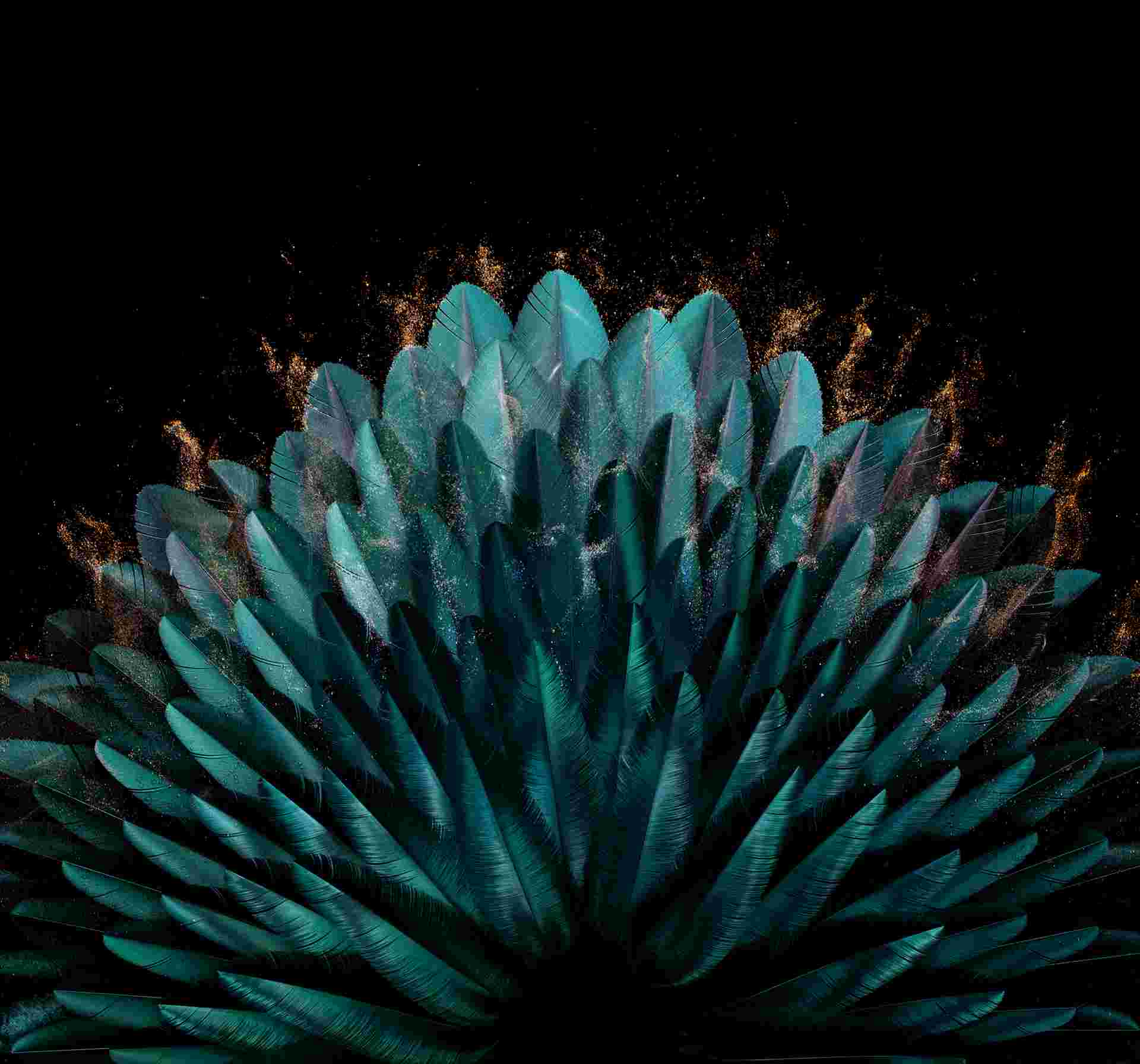 Oppo Find N2/N2 Flip High Resolution Official Wallpapers