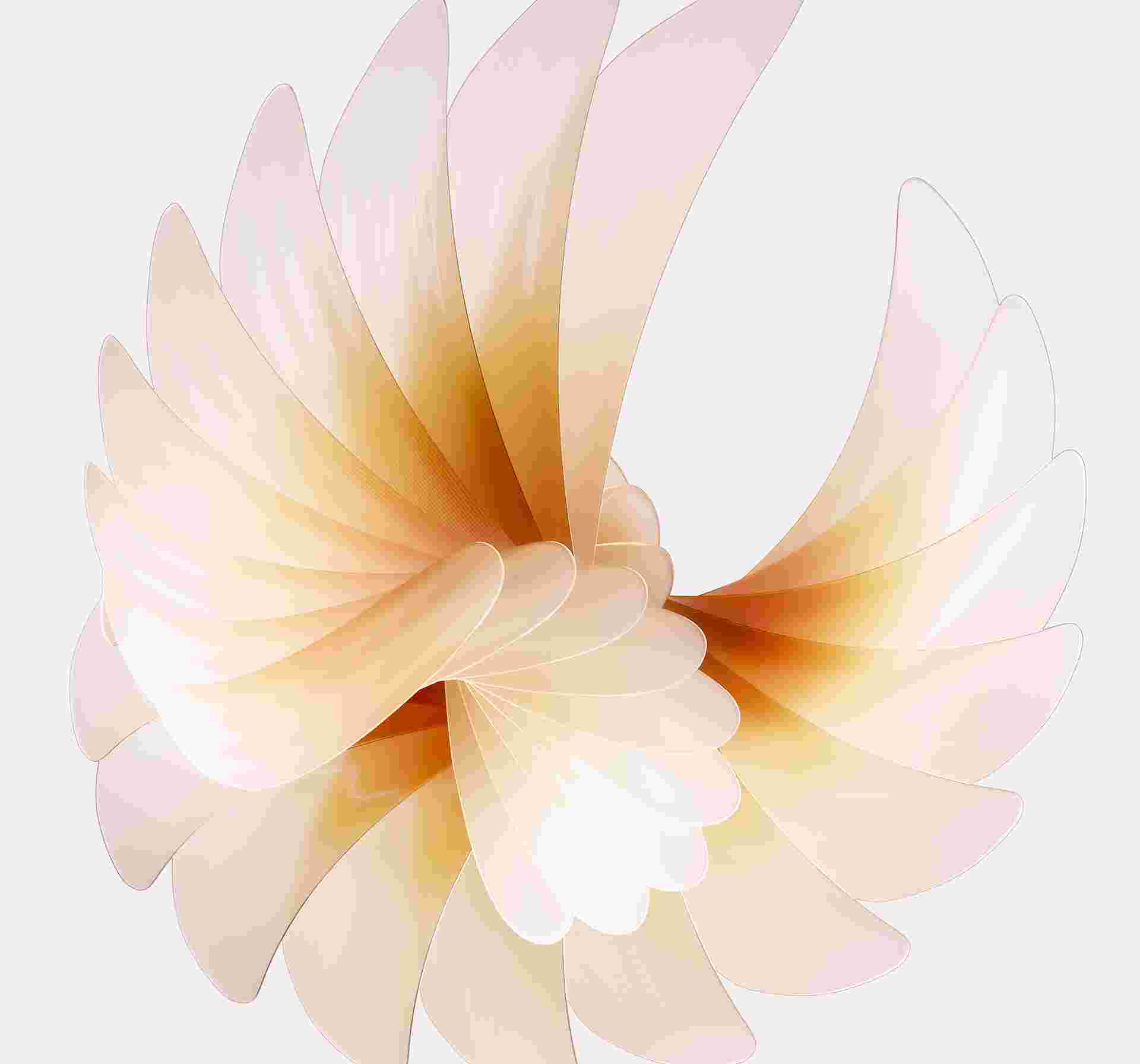 Oppo Find N2/N2 Flip High Resolution Official Wallpapers