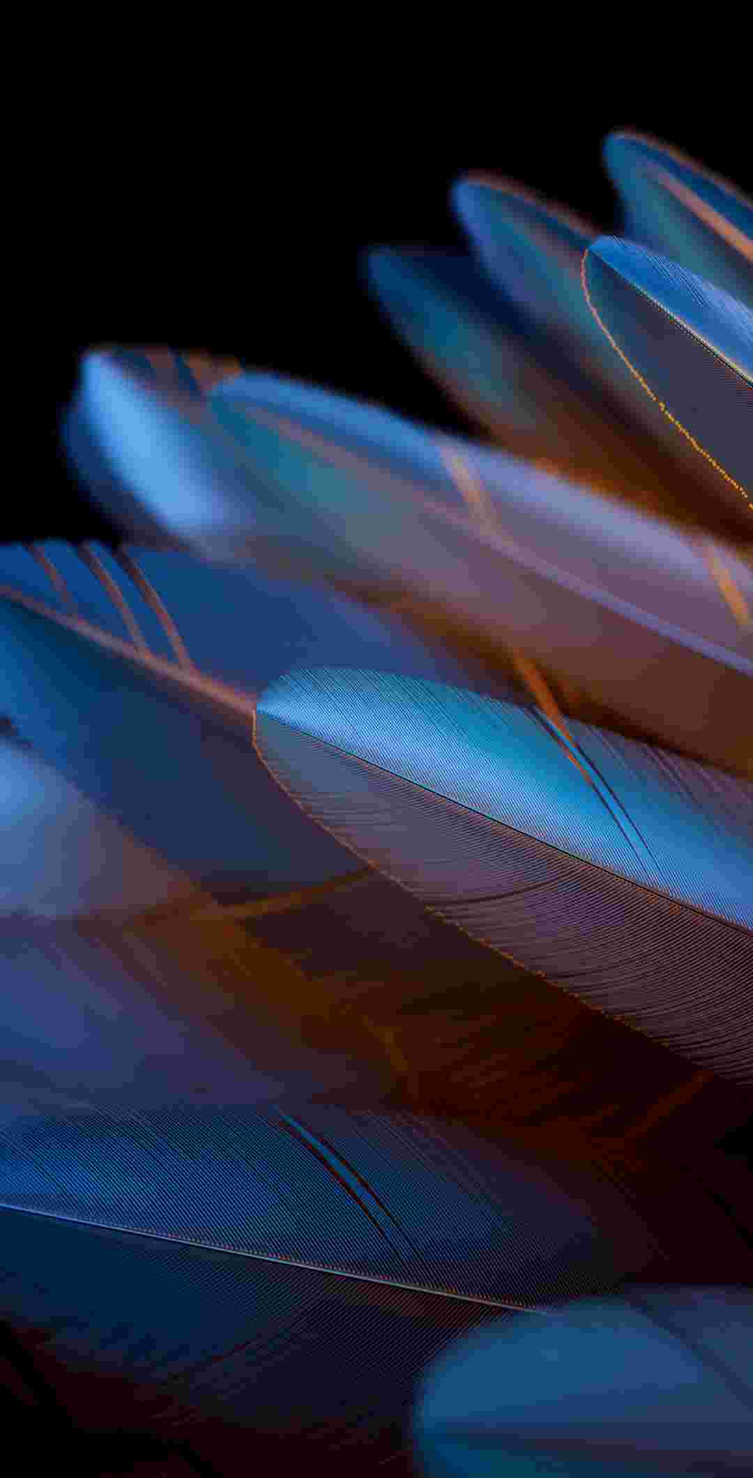 Oppo Find N2/N2 Flip High Resolution Official Wallpapers