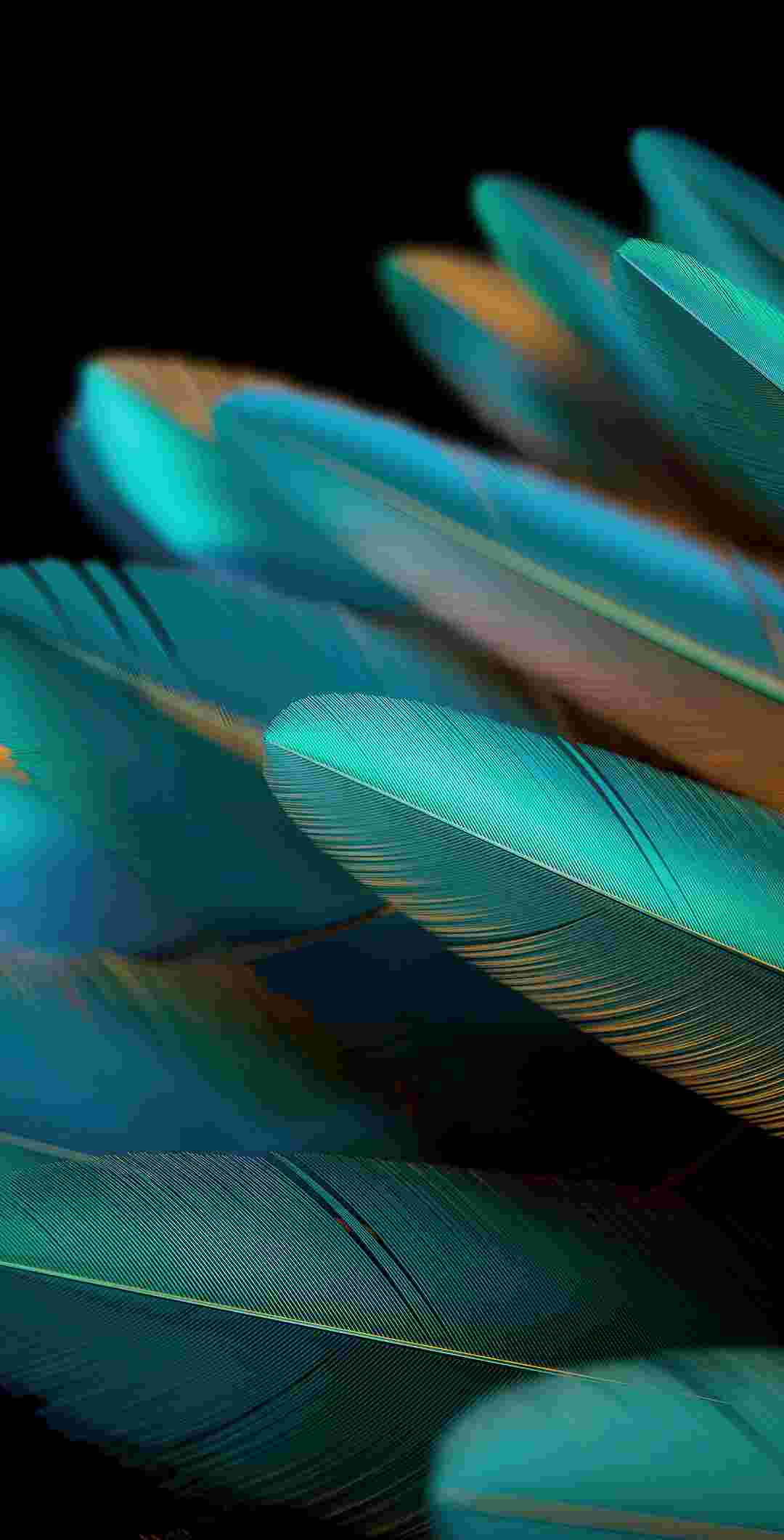 Oppo Find N2/N2 Flip High Resolution Official Wallpapers