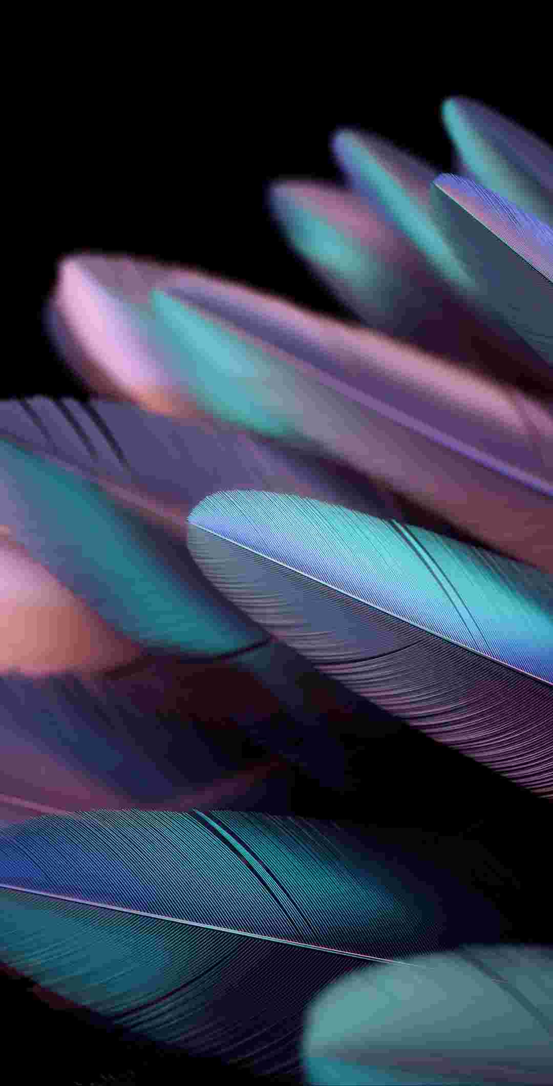 Oppo Find N2/N2 Flip High Resolution Official Wallpapers