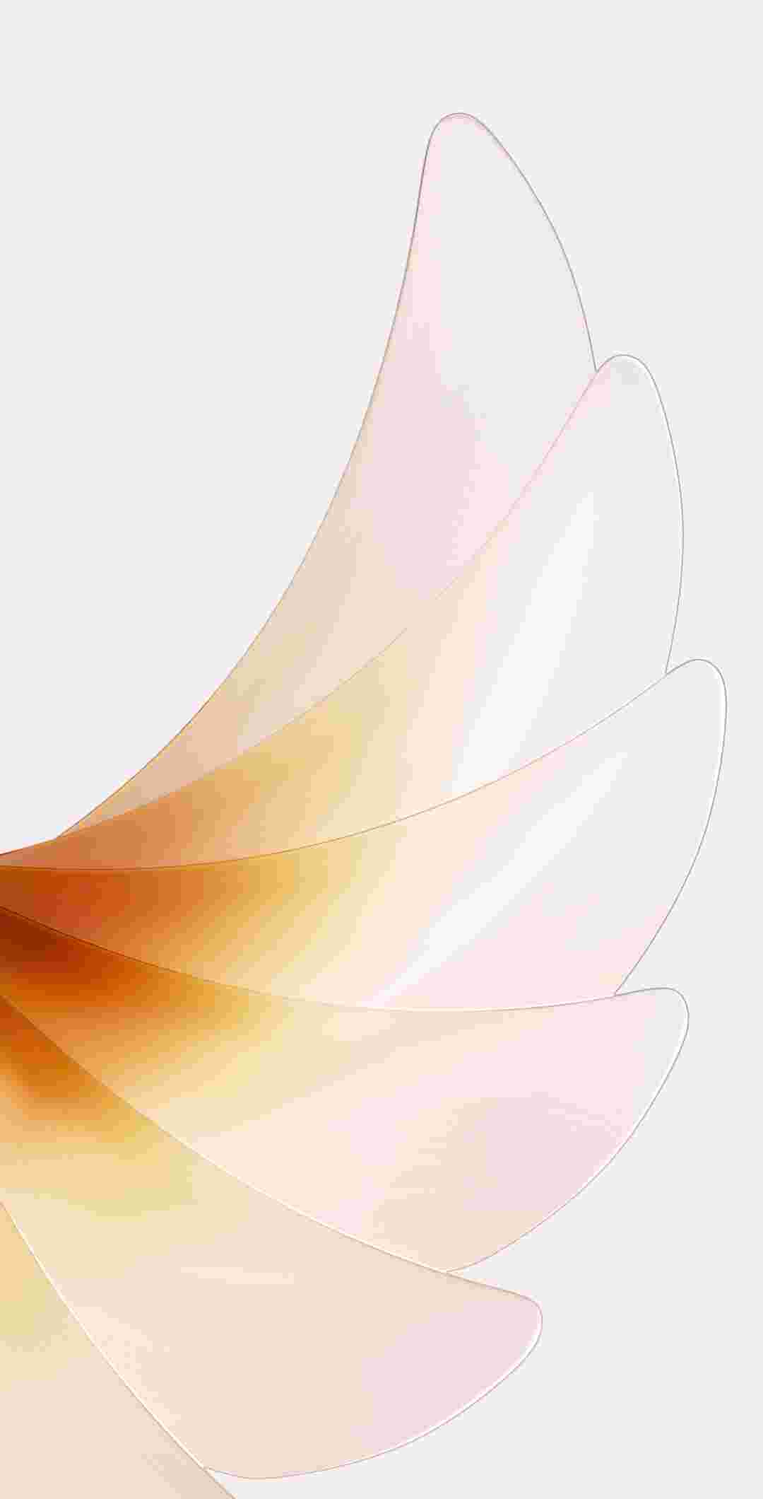 Oppo Find N2/N2 Flip High Resolution Official Wallpapers