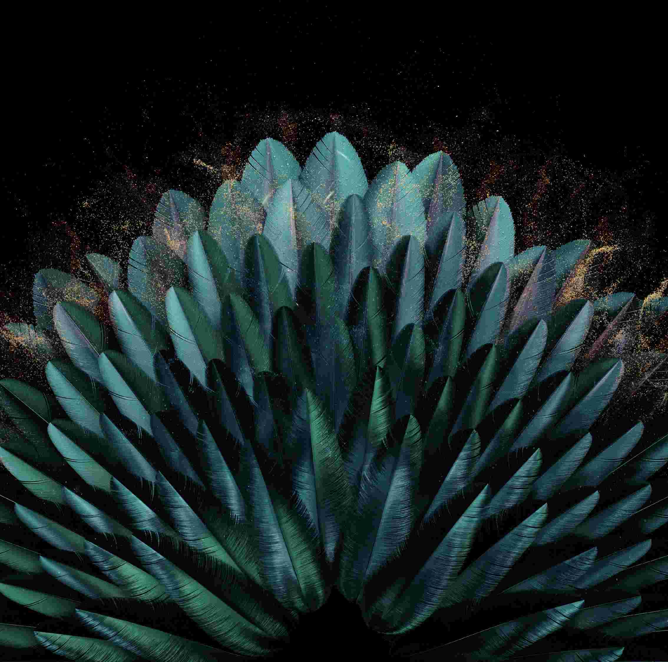 Oppo Find N3/N3 Flip High Resolution Official Wallpapers