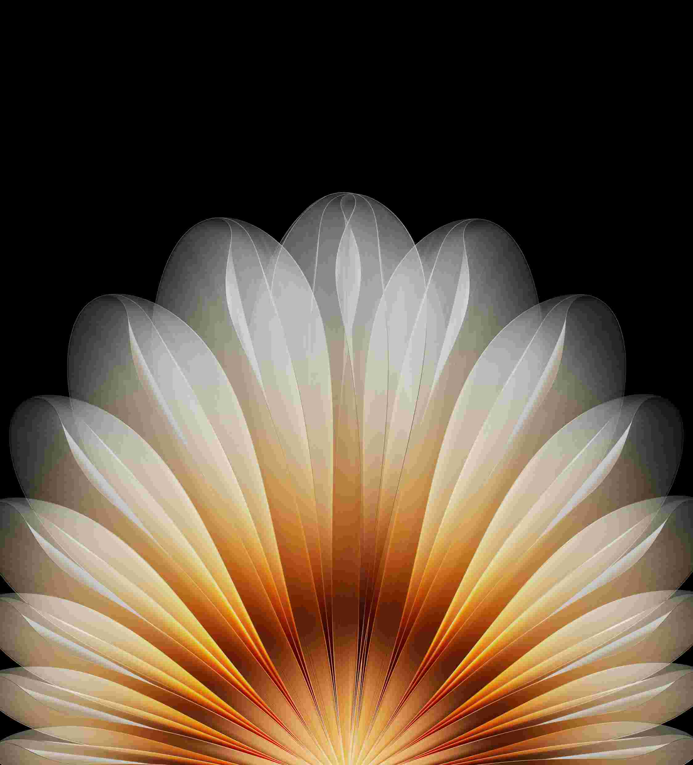 Oppo Find N5 High Resolution Official Wallpapers