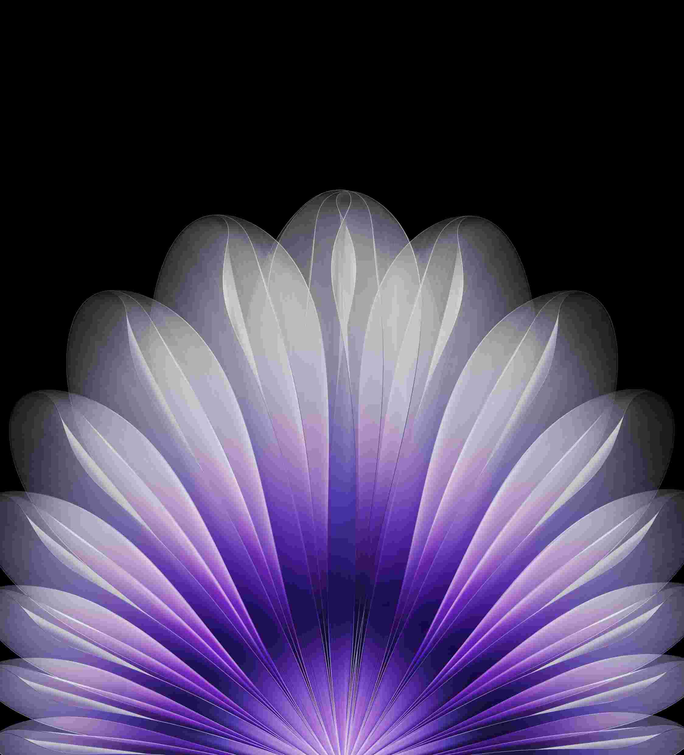 Oppo Find N5 High Resolution Official Wallpapers