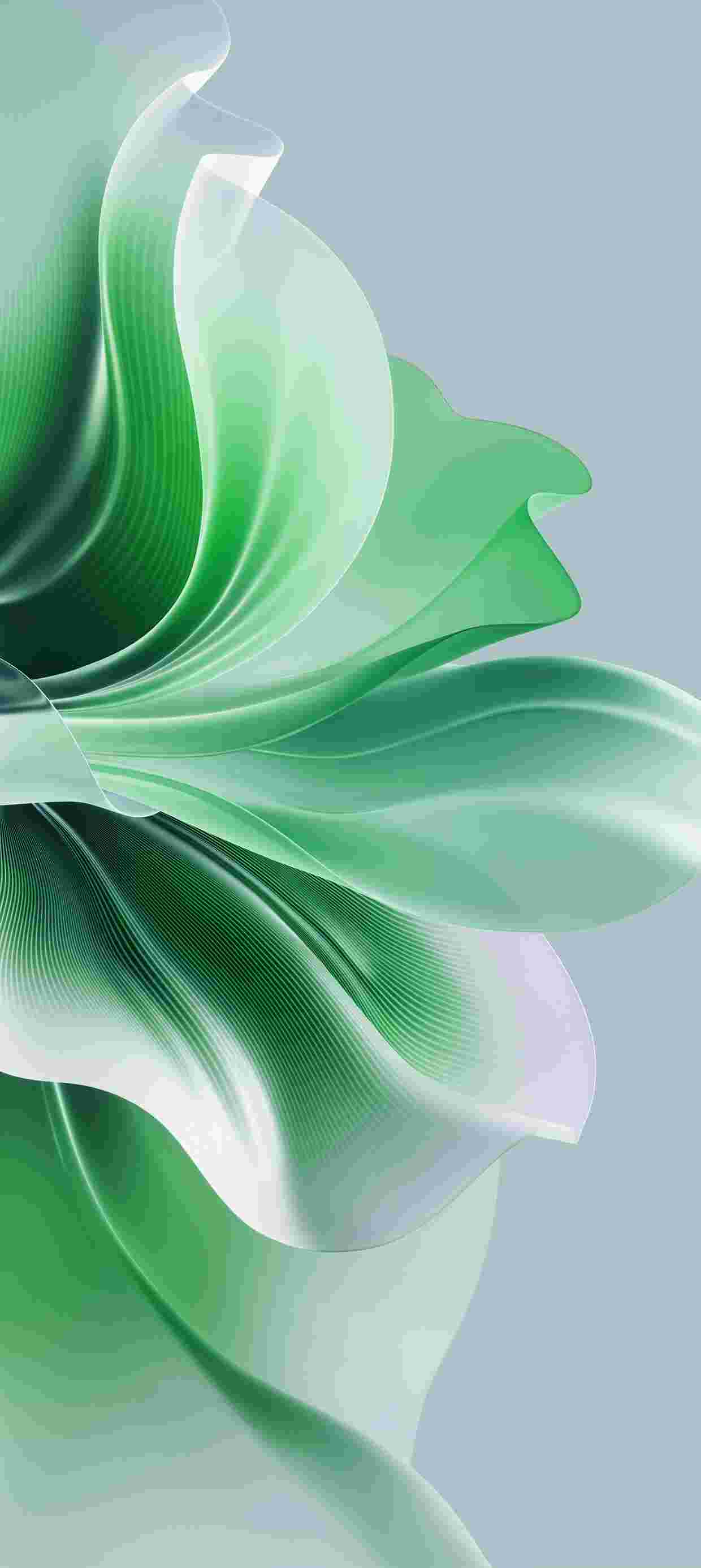   Oppo Reno 11 Pro High Resolution Official Wallpapers