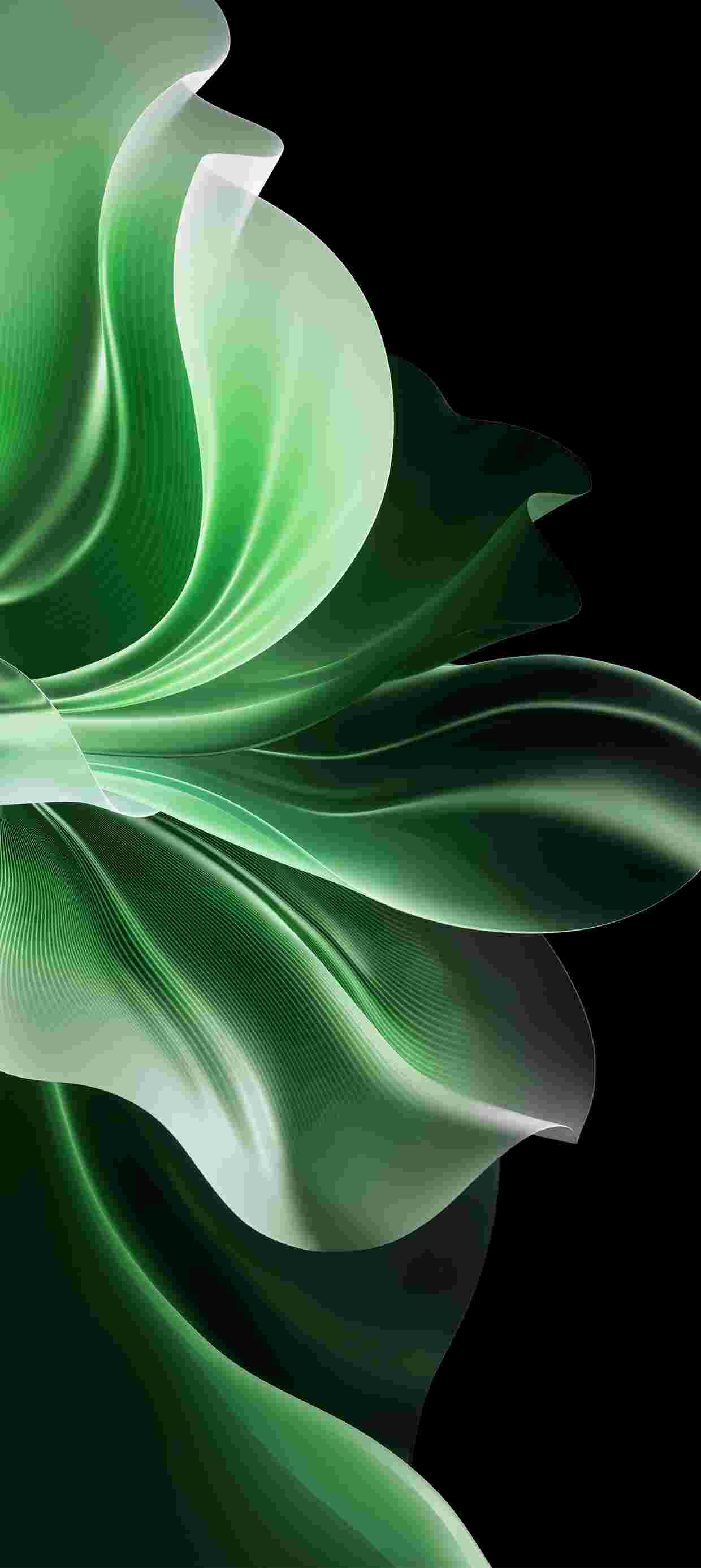   Oppo Reno 11 Pro High Resolution Official Wallpapers