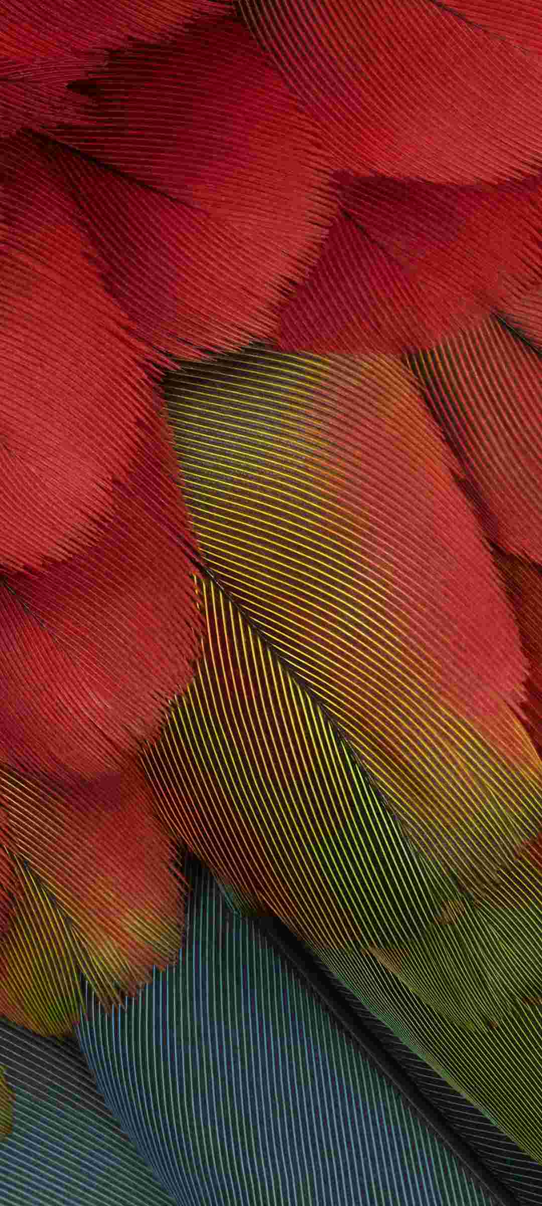 Pixel 7a High Resolution Official Wallpapers