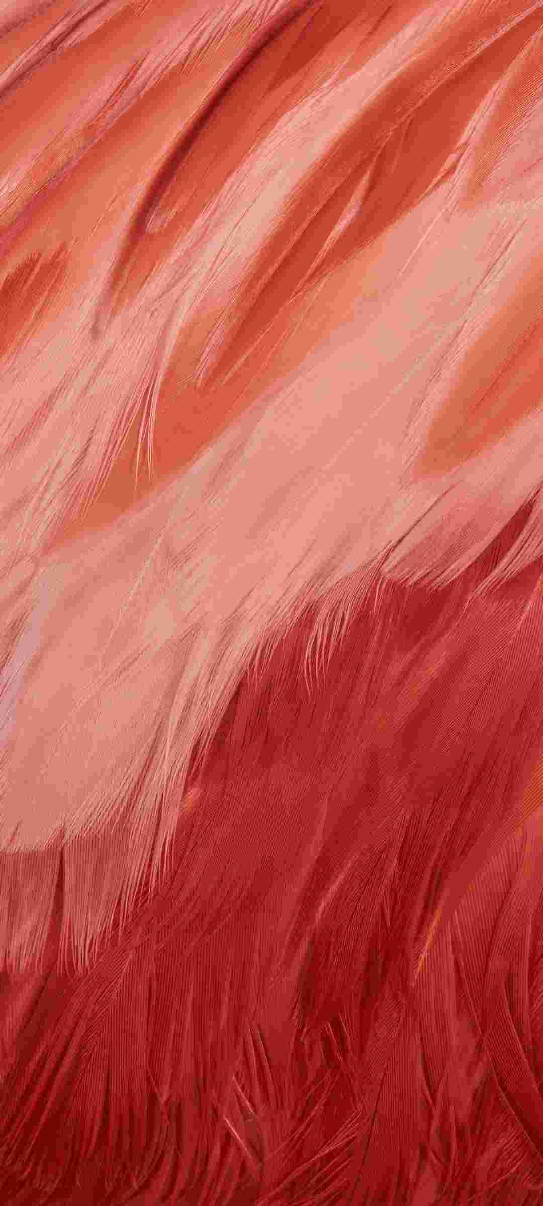 Pixel 7a High Resolution Official Wallpapers