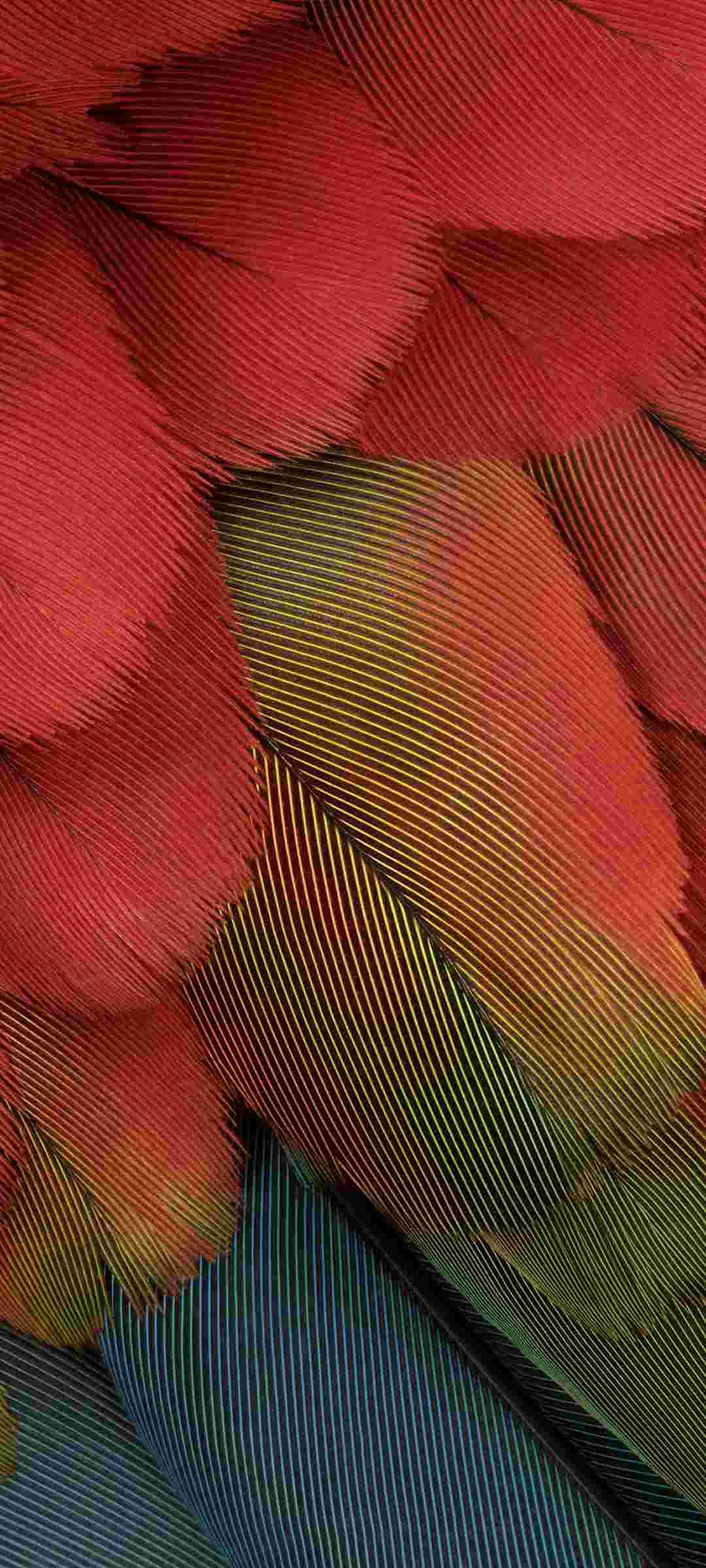 Pixel 7a High Resolution Official Wallpapers