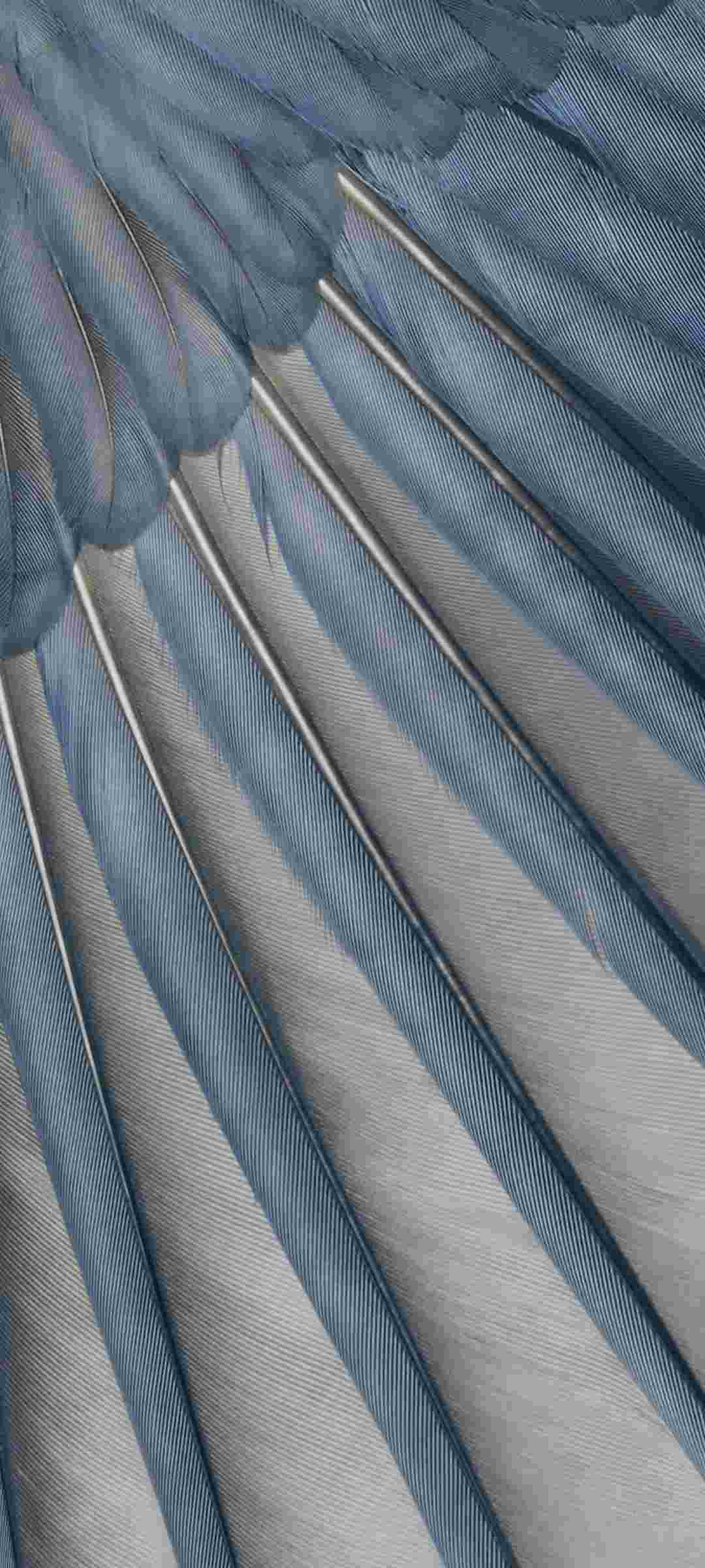 Pixel 7a High Resolution Official Wallpapers