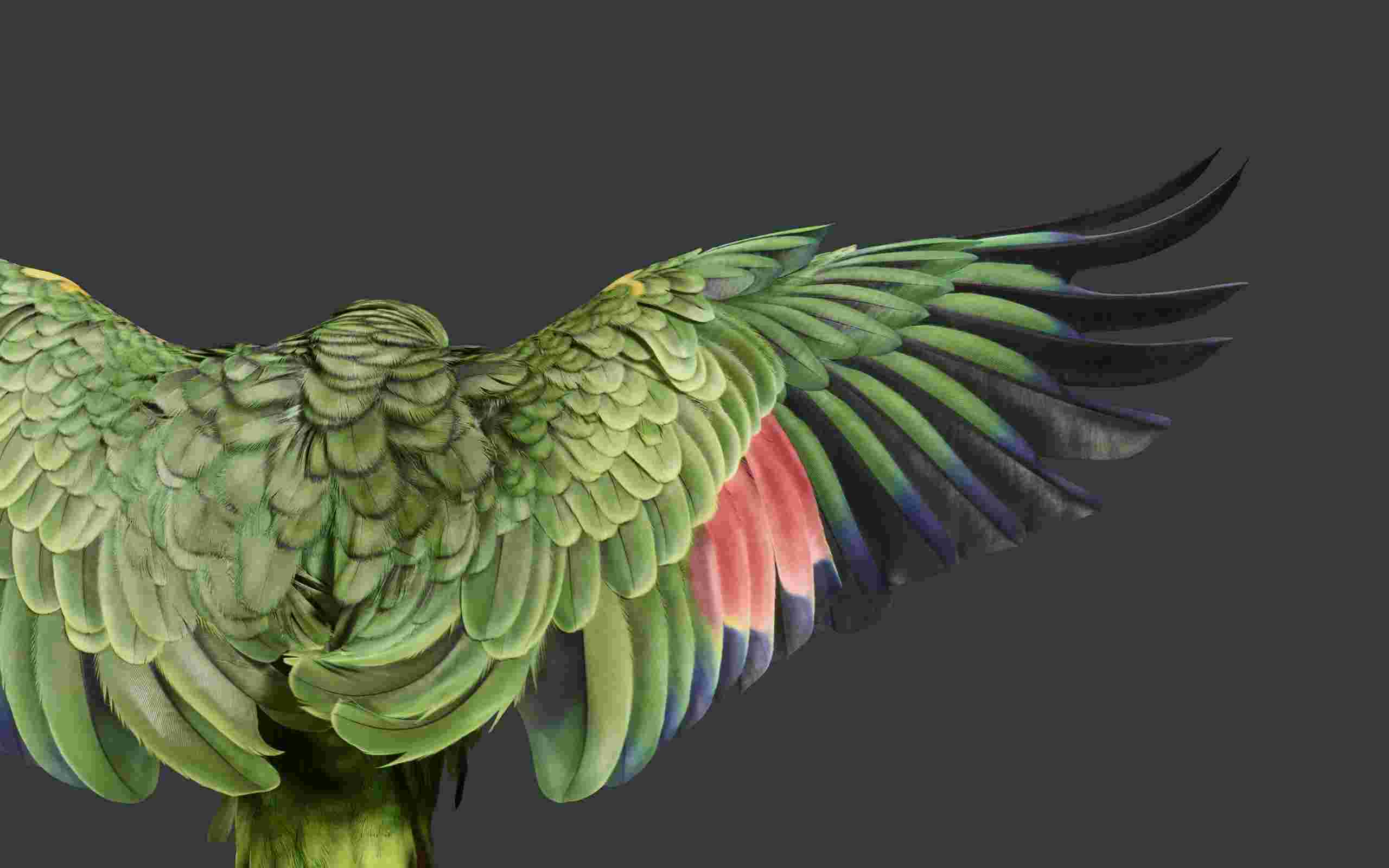 Pixel Tablet High Resolution Official Wallpapers