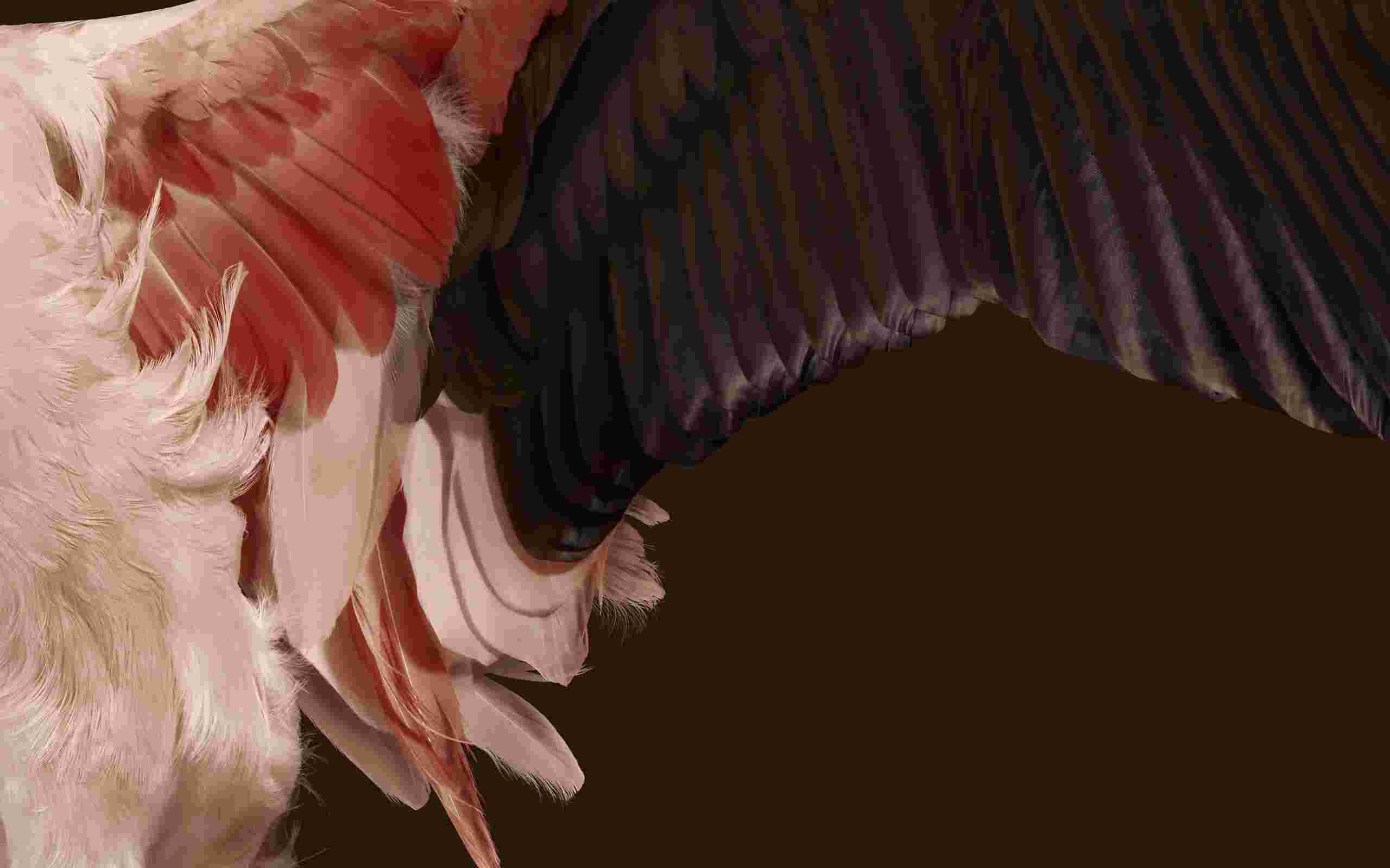 Pixel Tablet High Resolution Official Wallpapers
