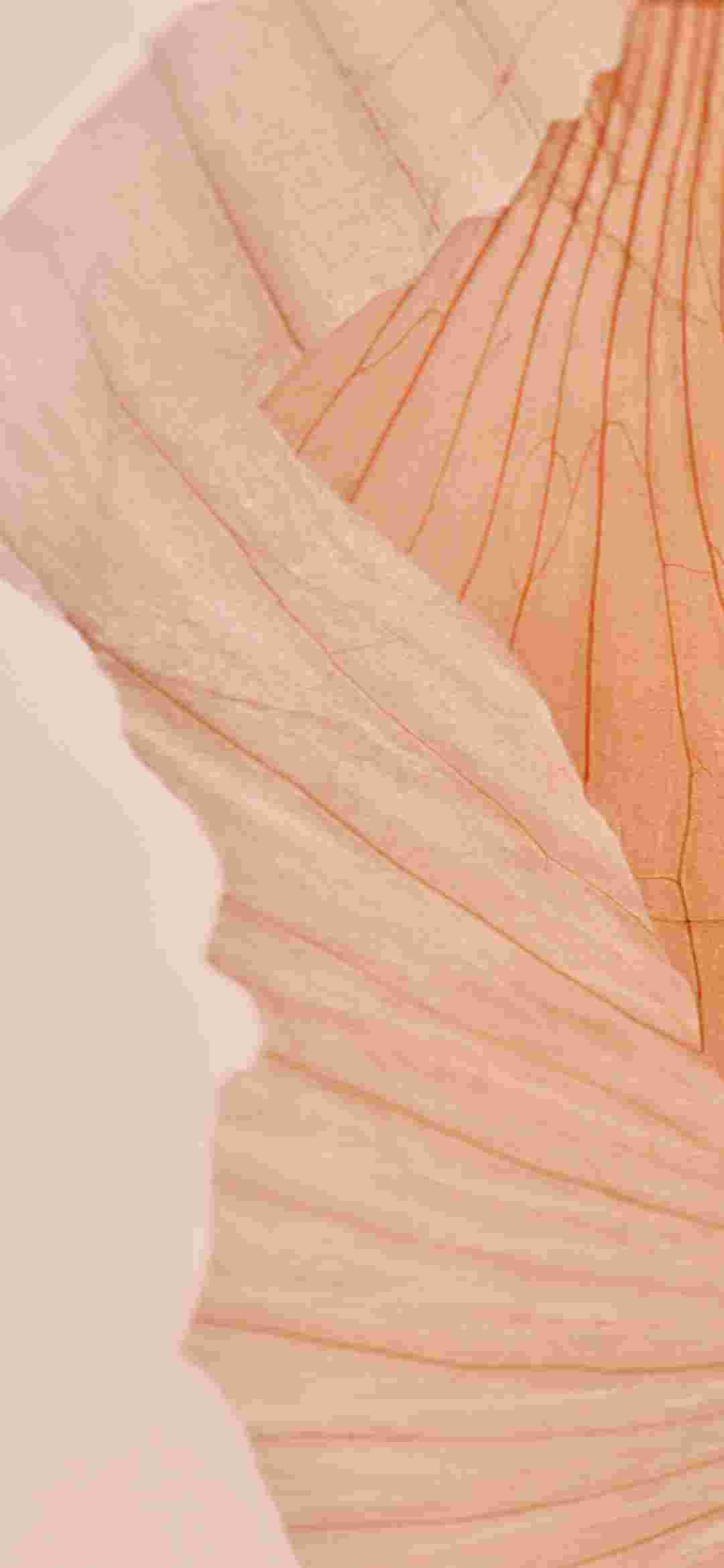  Realme X/X Master High Resolution Official Wallpapers