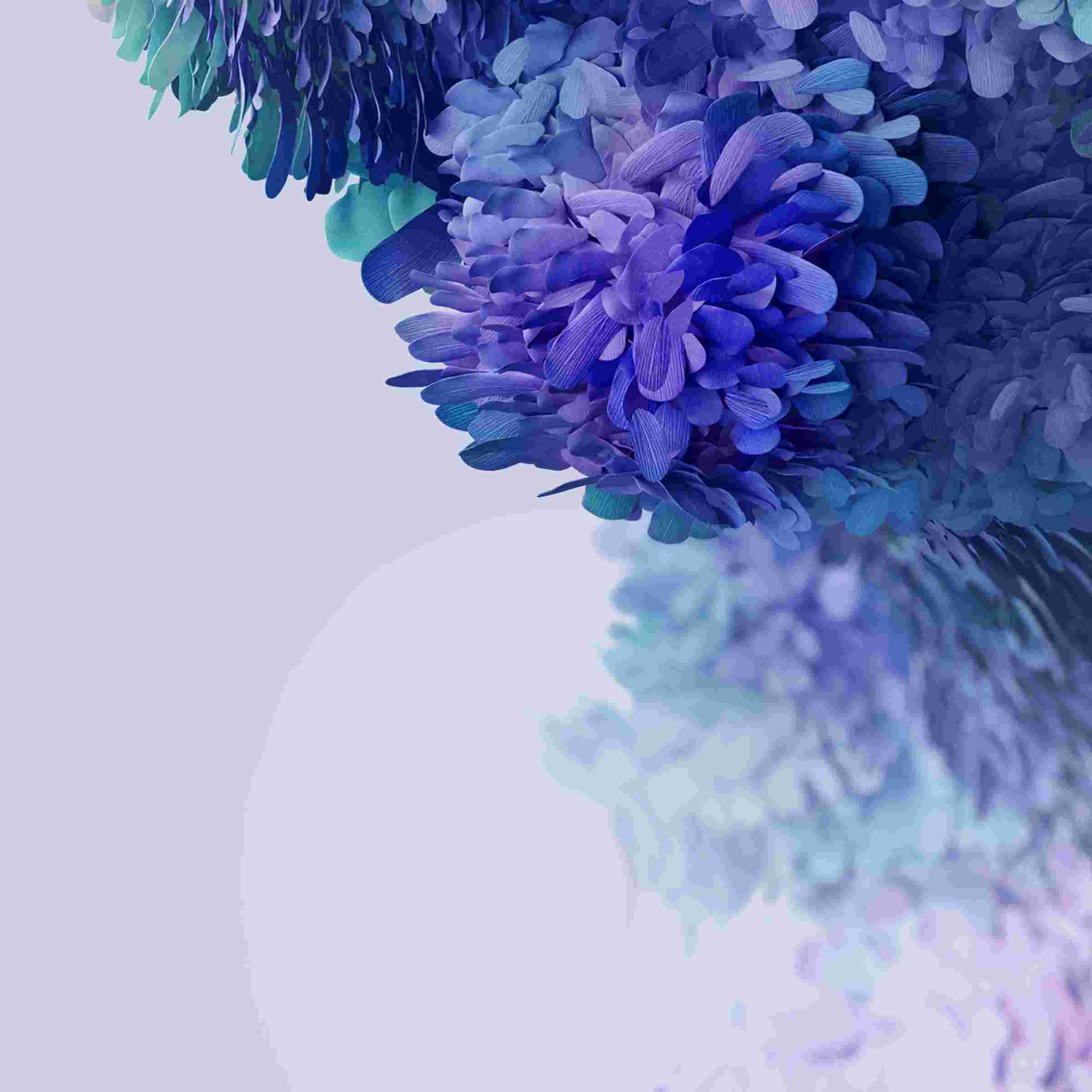  Galaxy S20 FE High Resolution Official Wallpapers