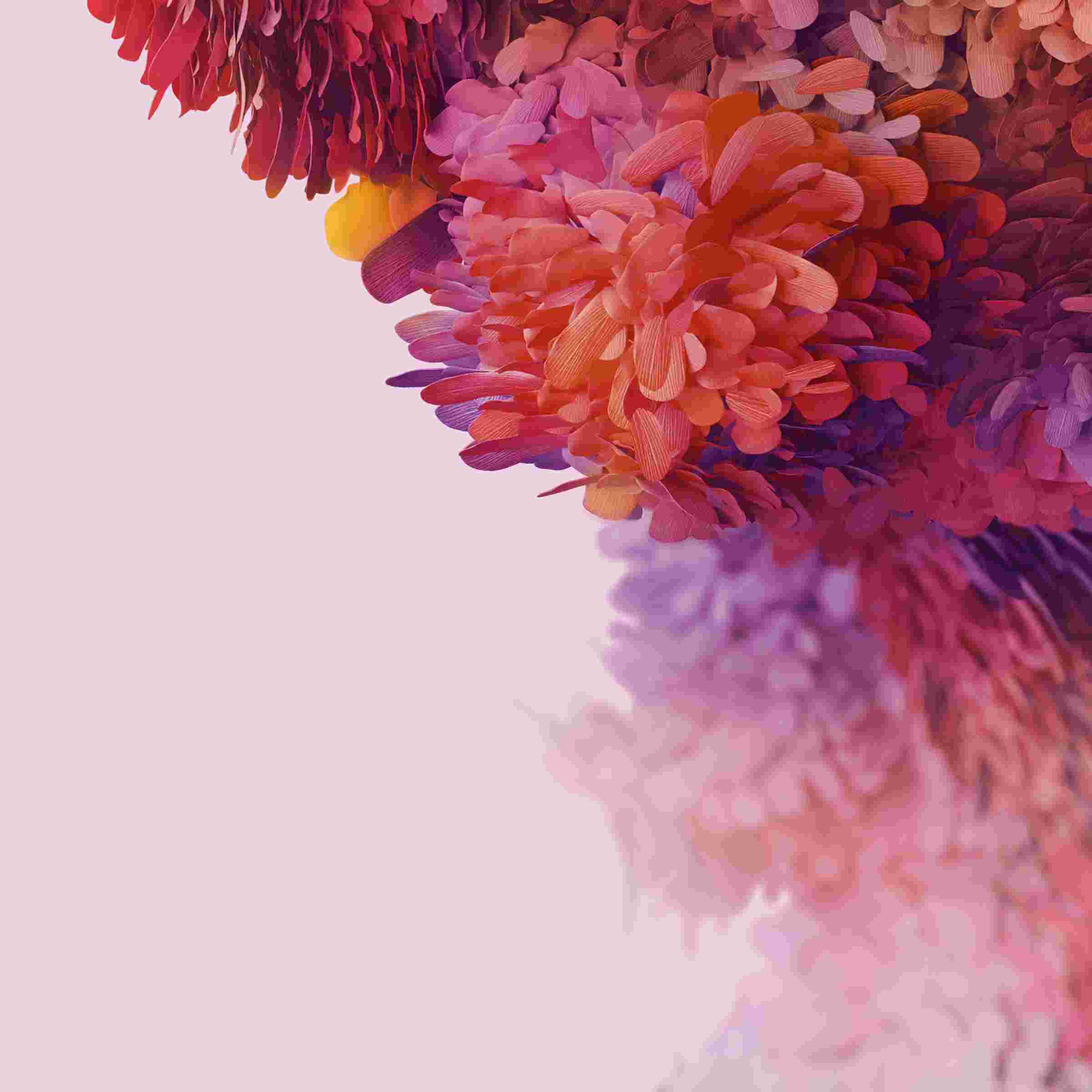  Galaxy S20 FE High Resolution Official Wallpapers