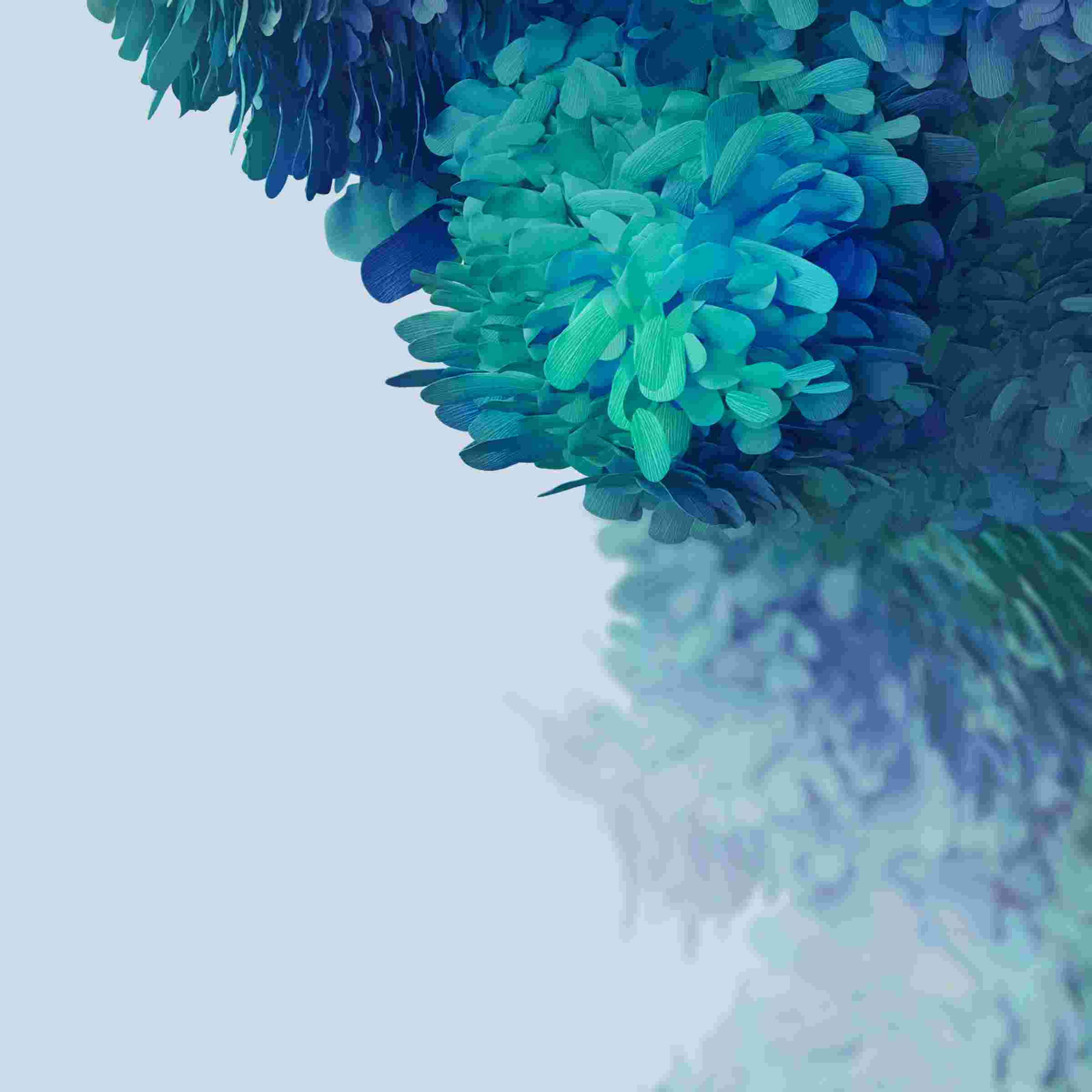  Galaxy S20 FE High Resolution Official Wallpapers