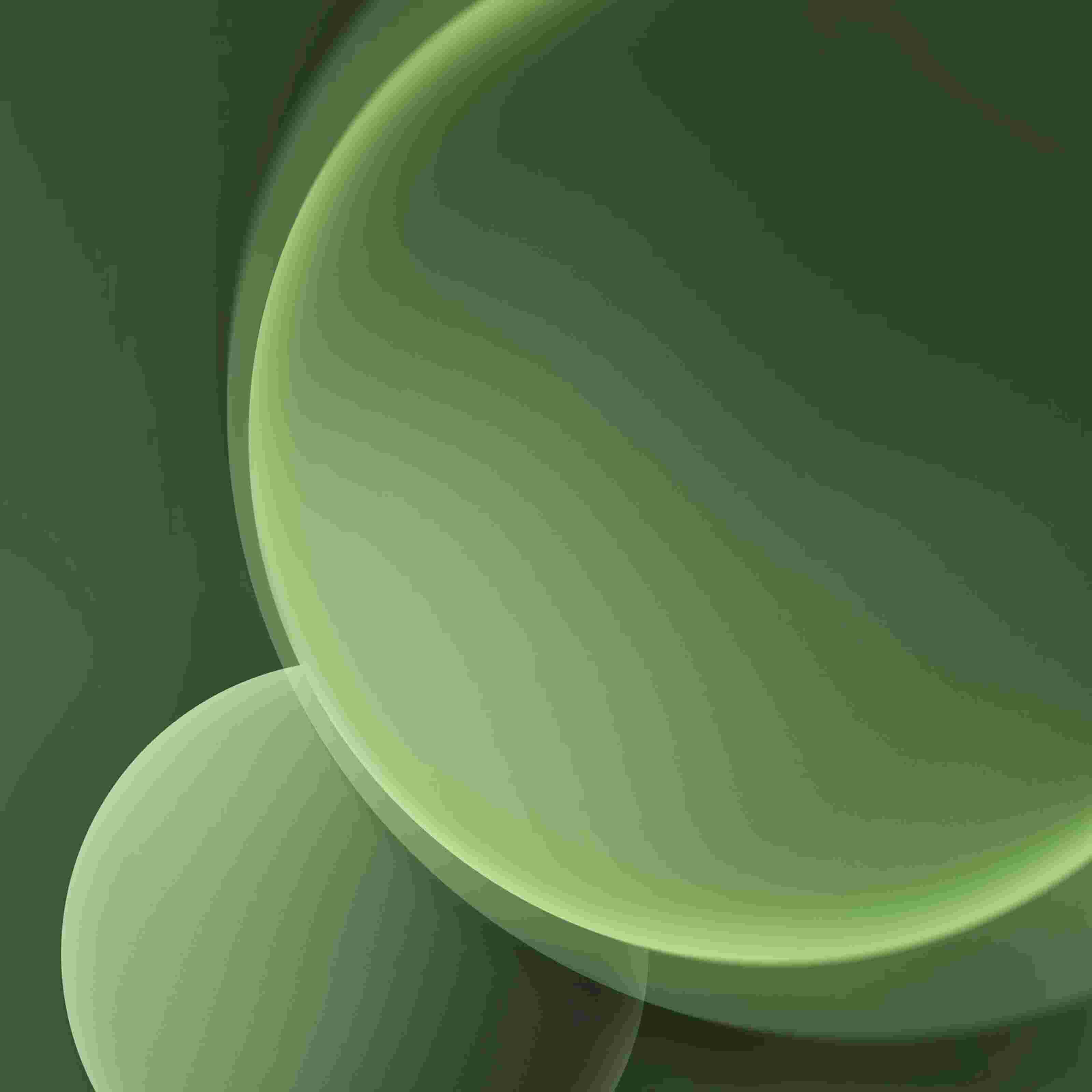 Galaxy Tab Active 5 High Resolution Official Wallpapers