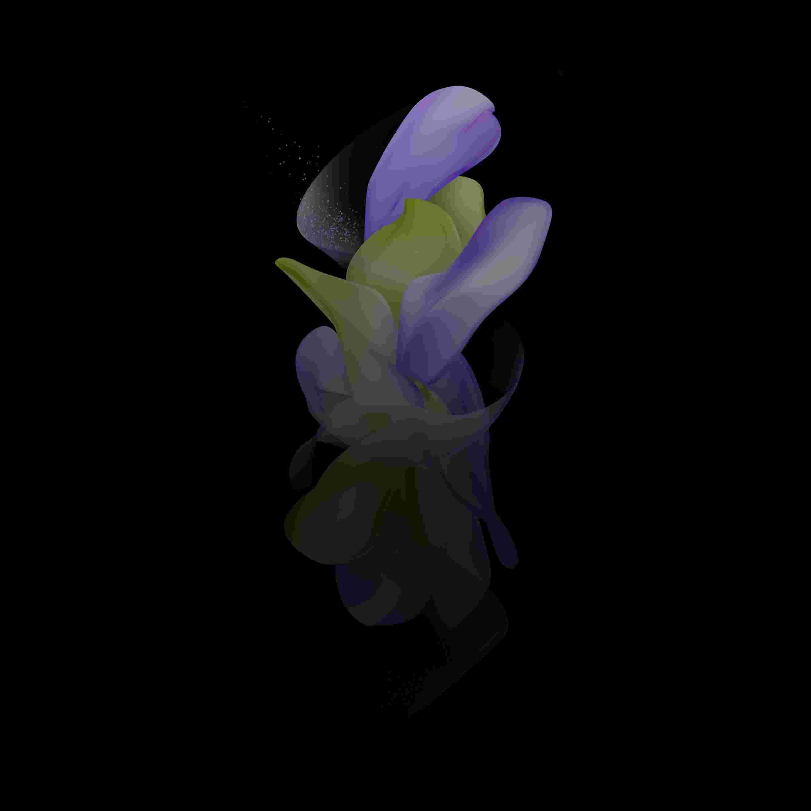 Galaxy Z Flip 4 High Resolution Official Wallpapers