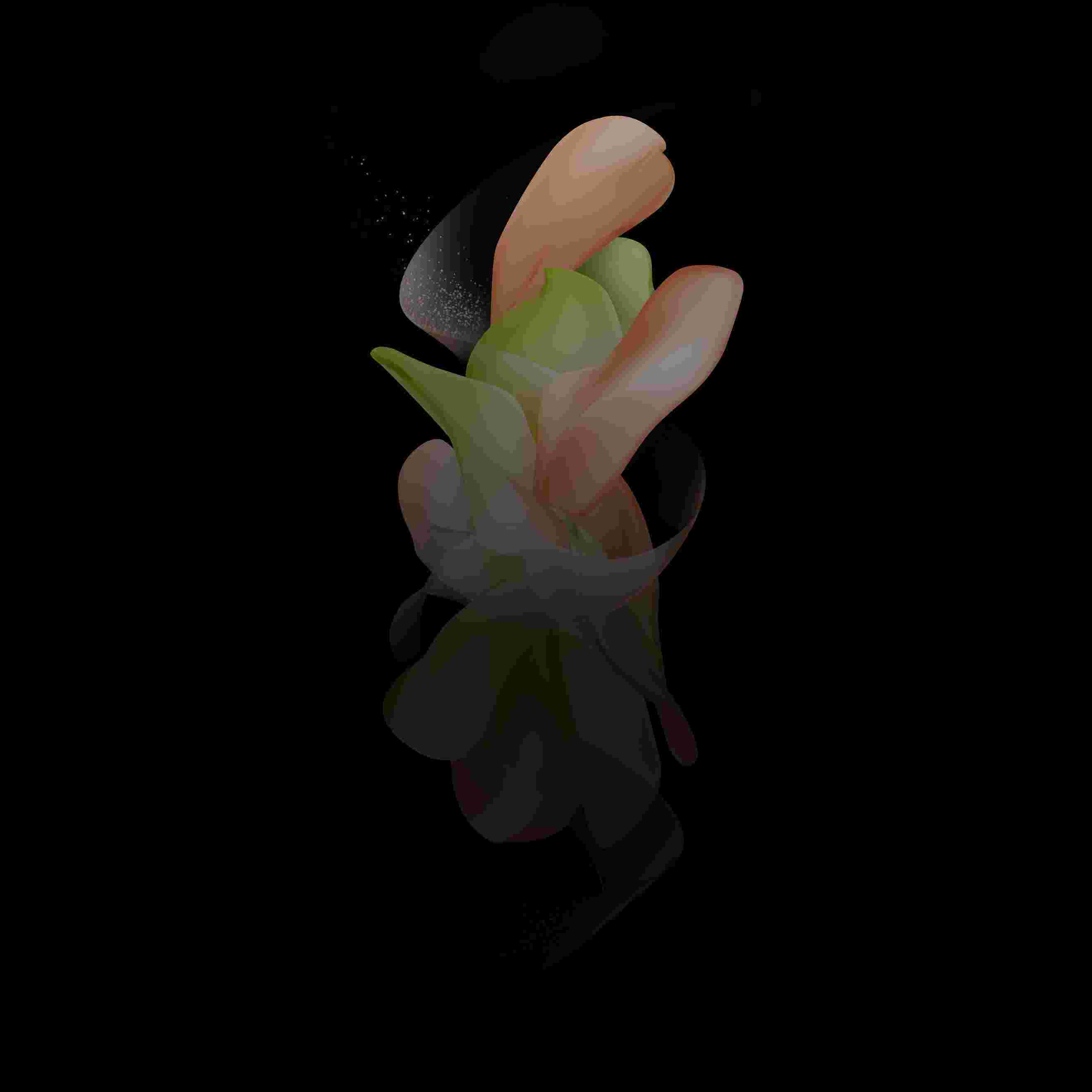 Galaxy Z Flip 4 High Resolution Official Wallpapers