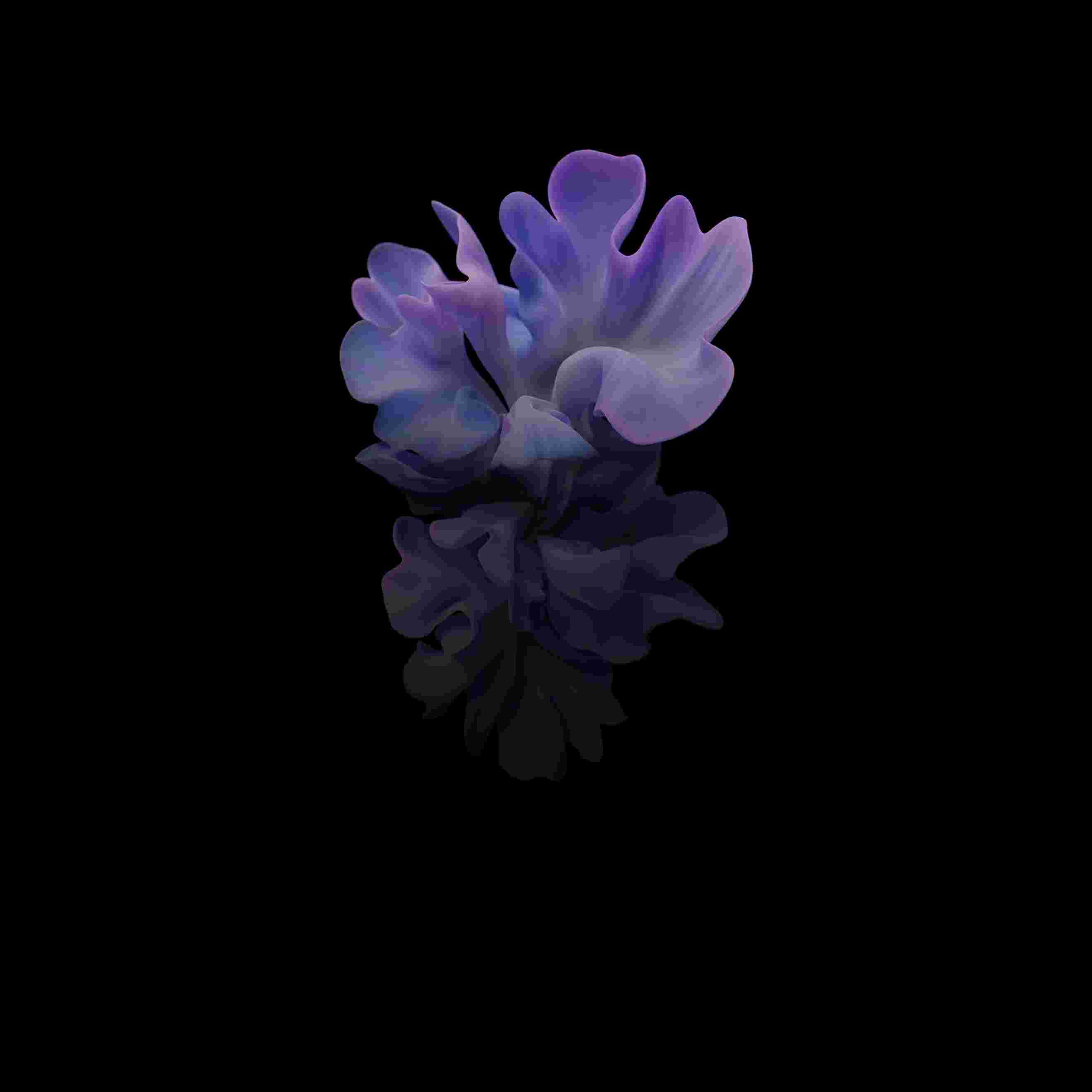 Galaxy Z Flip High Resolution Official Wallpapers